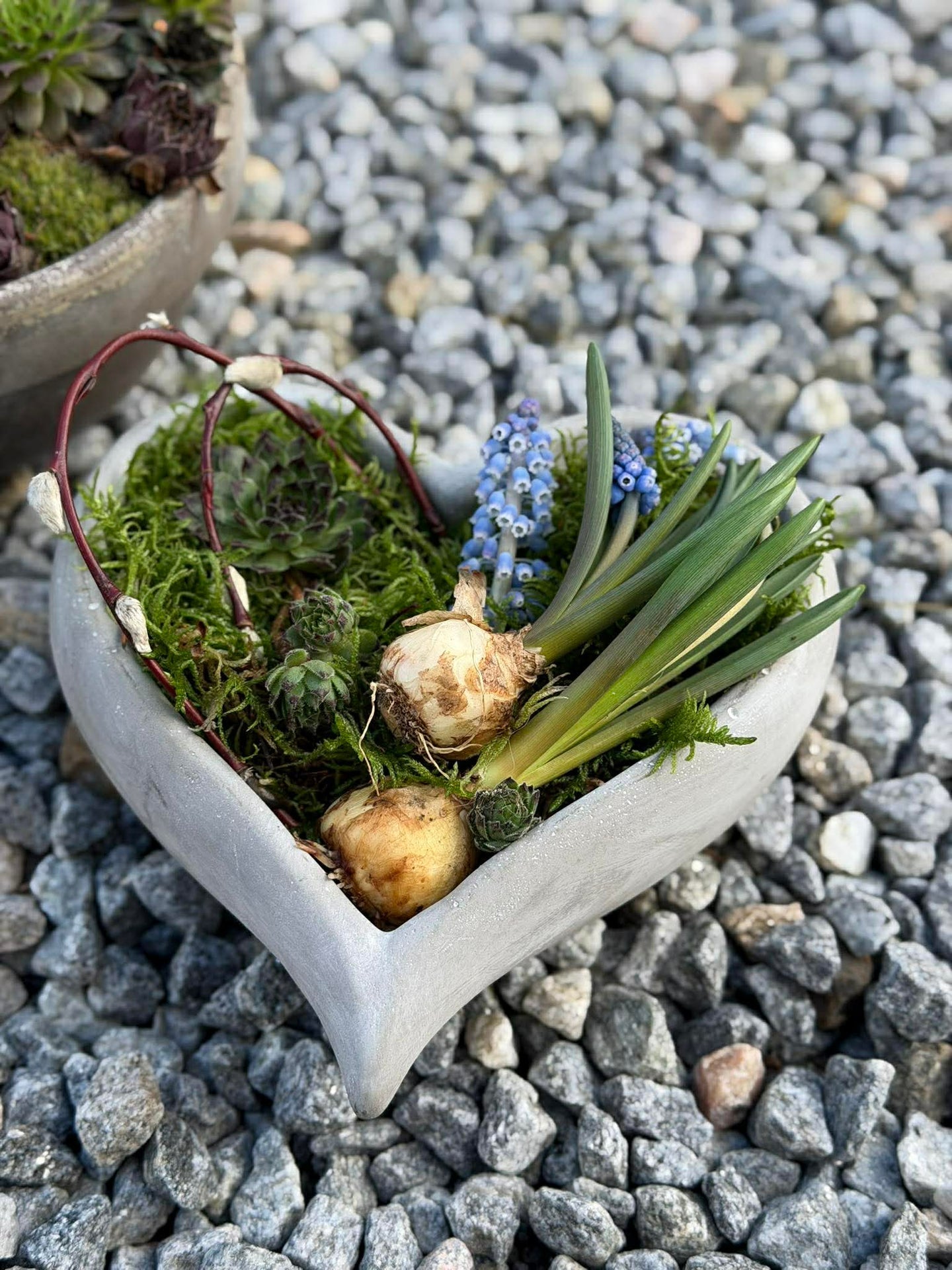 Hjerte til beplantning