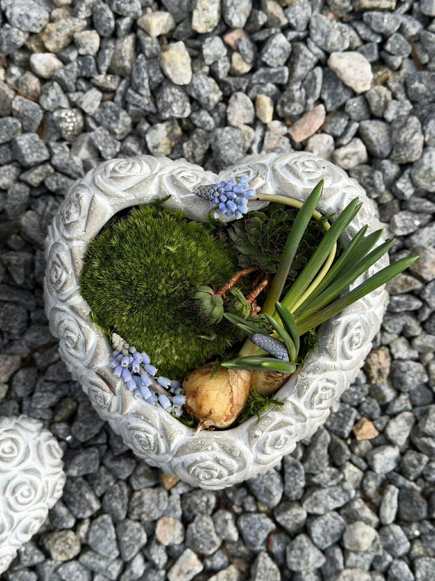 Hjerte med roser - Flere størrelser