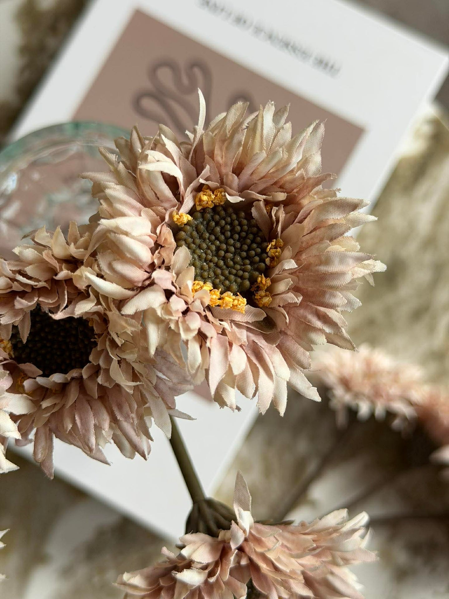 Gerbera 3 stk.