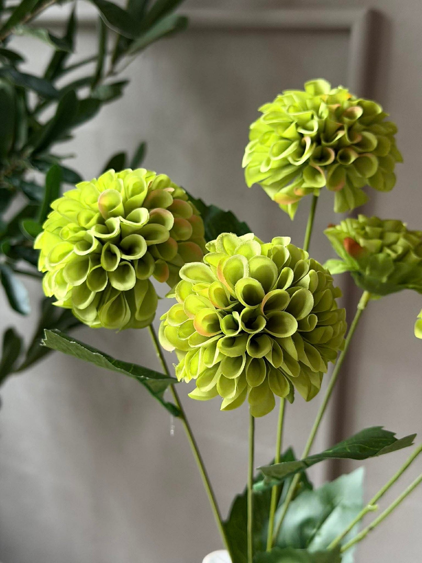 Blomsterstilk med flere blomster - Lime