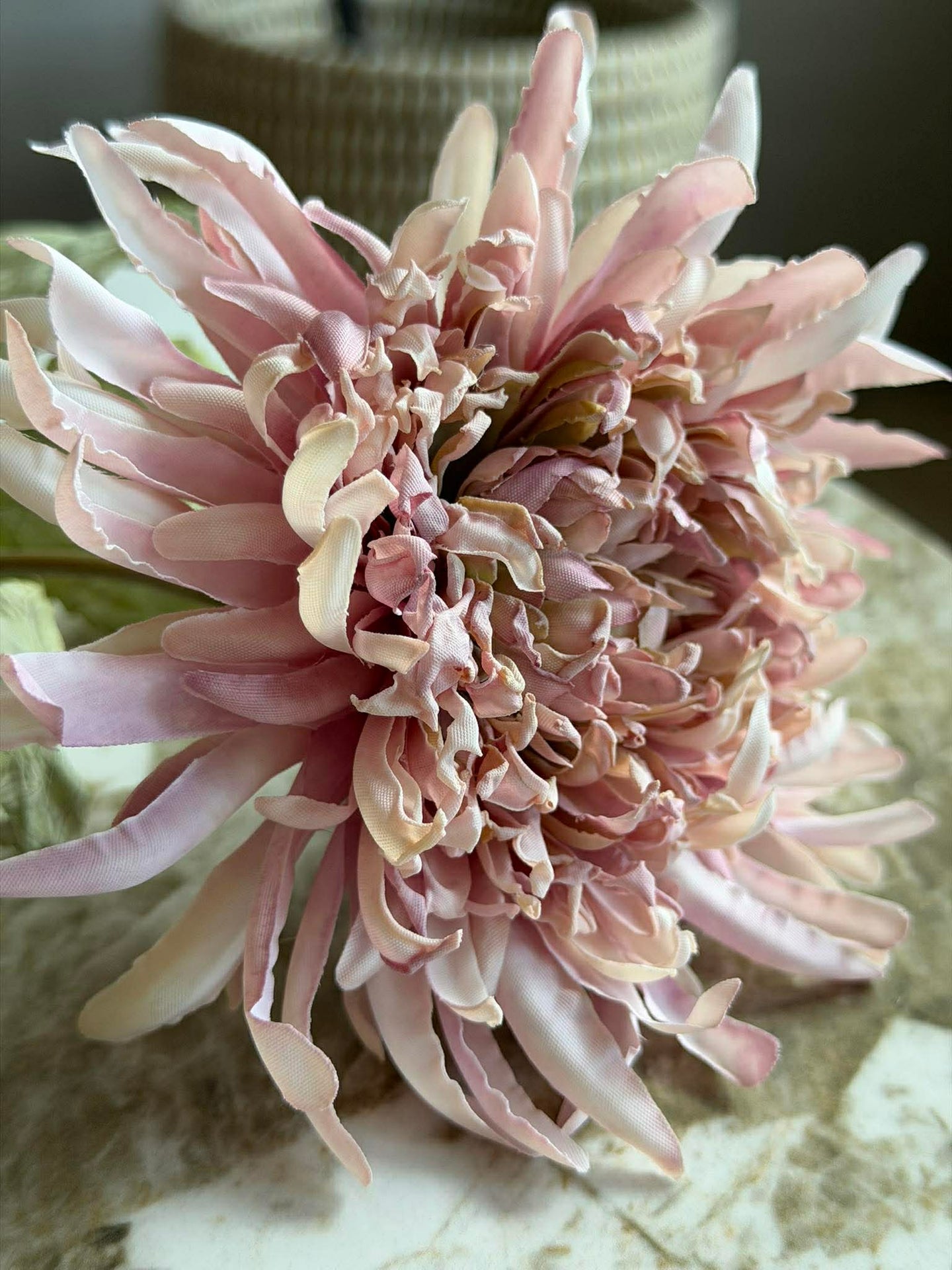 Krysantemum stilk 17 cm - Rosa