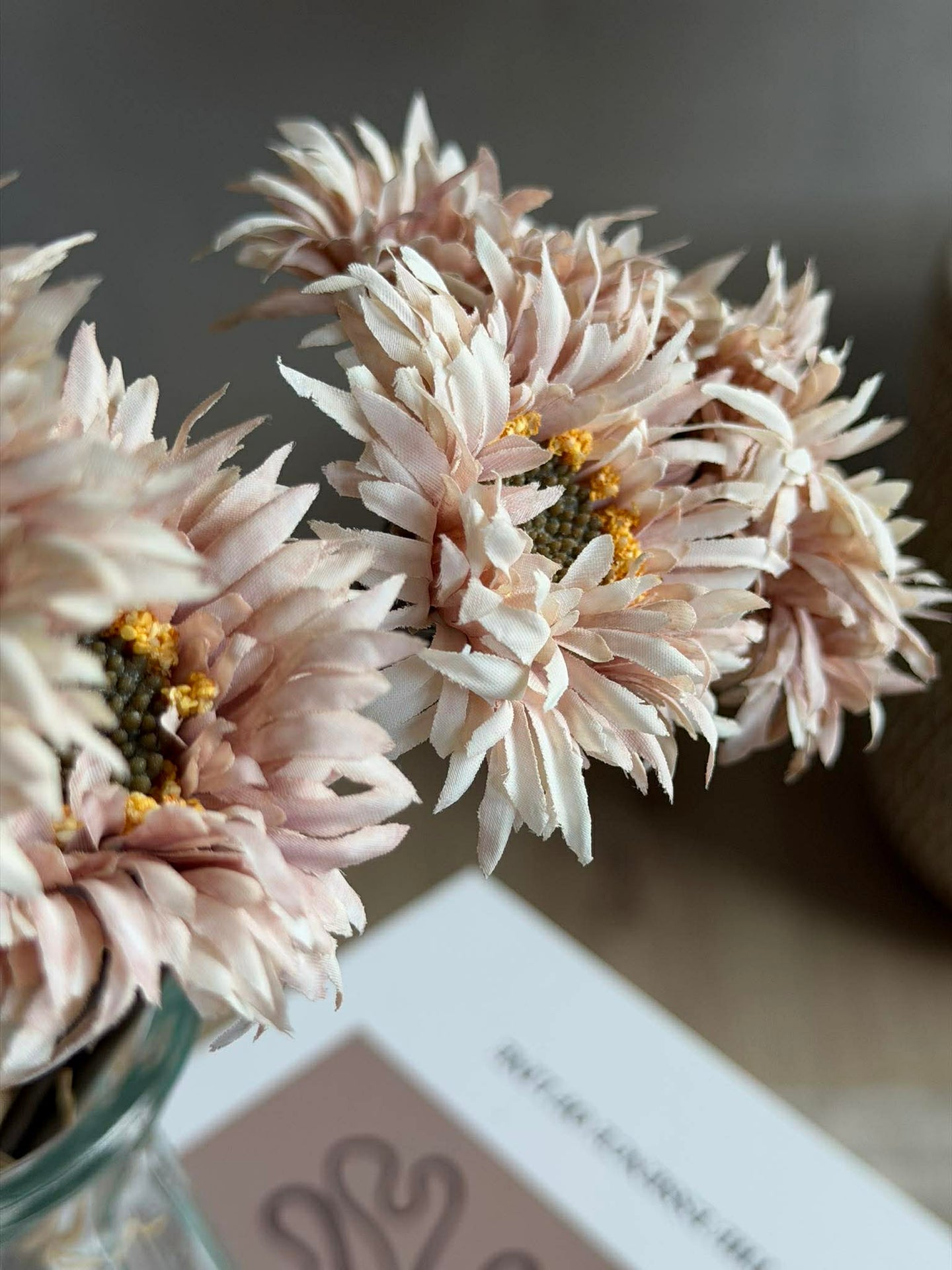 Gerbera 3 stk.