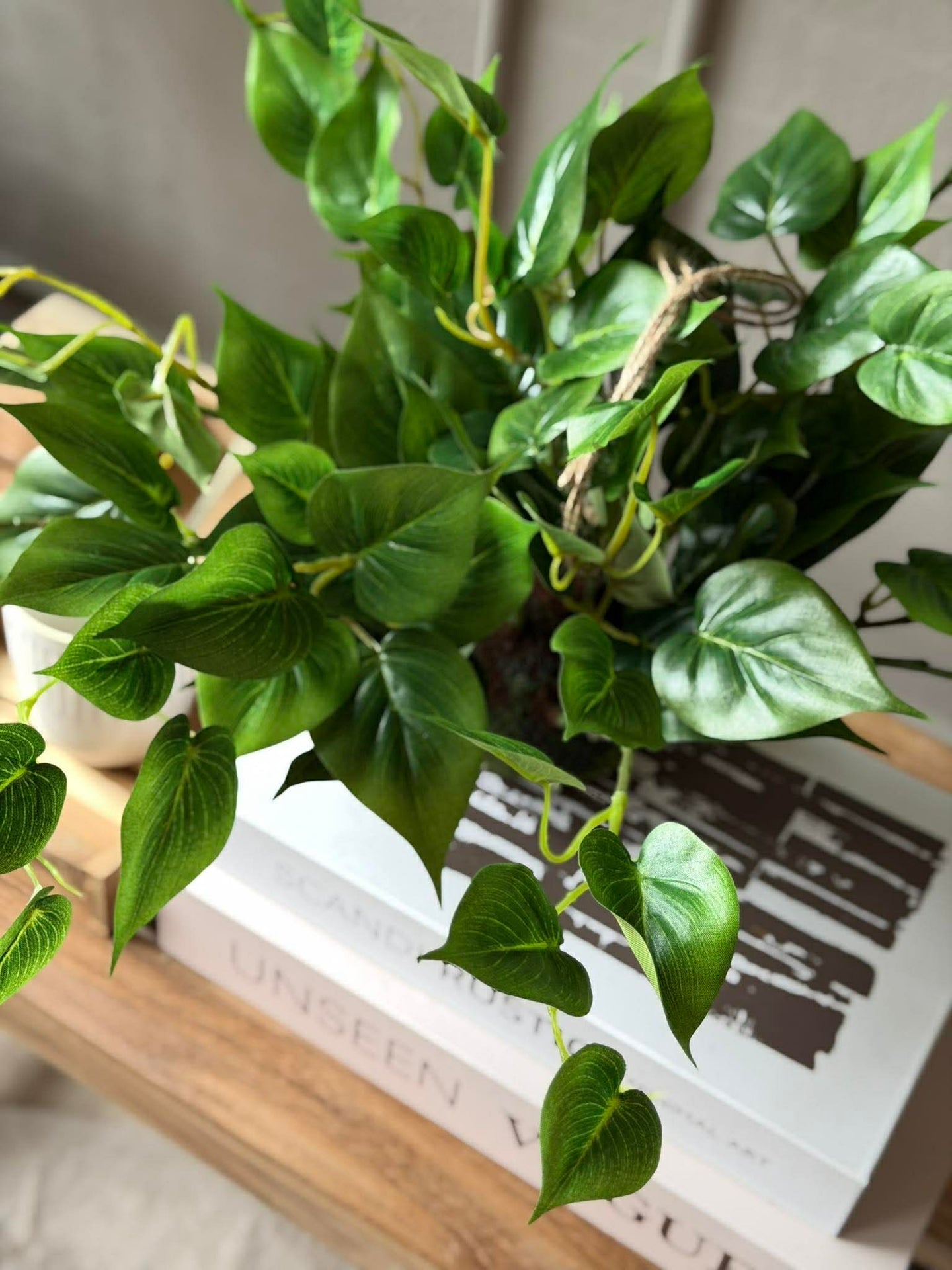 Hengeplante hjerte philodenron