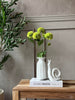 Blomsterstilk med flere blomster - Lime