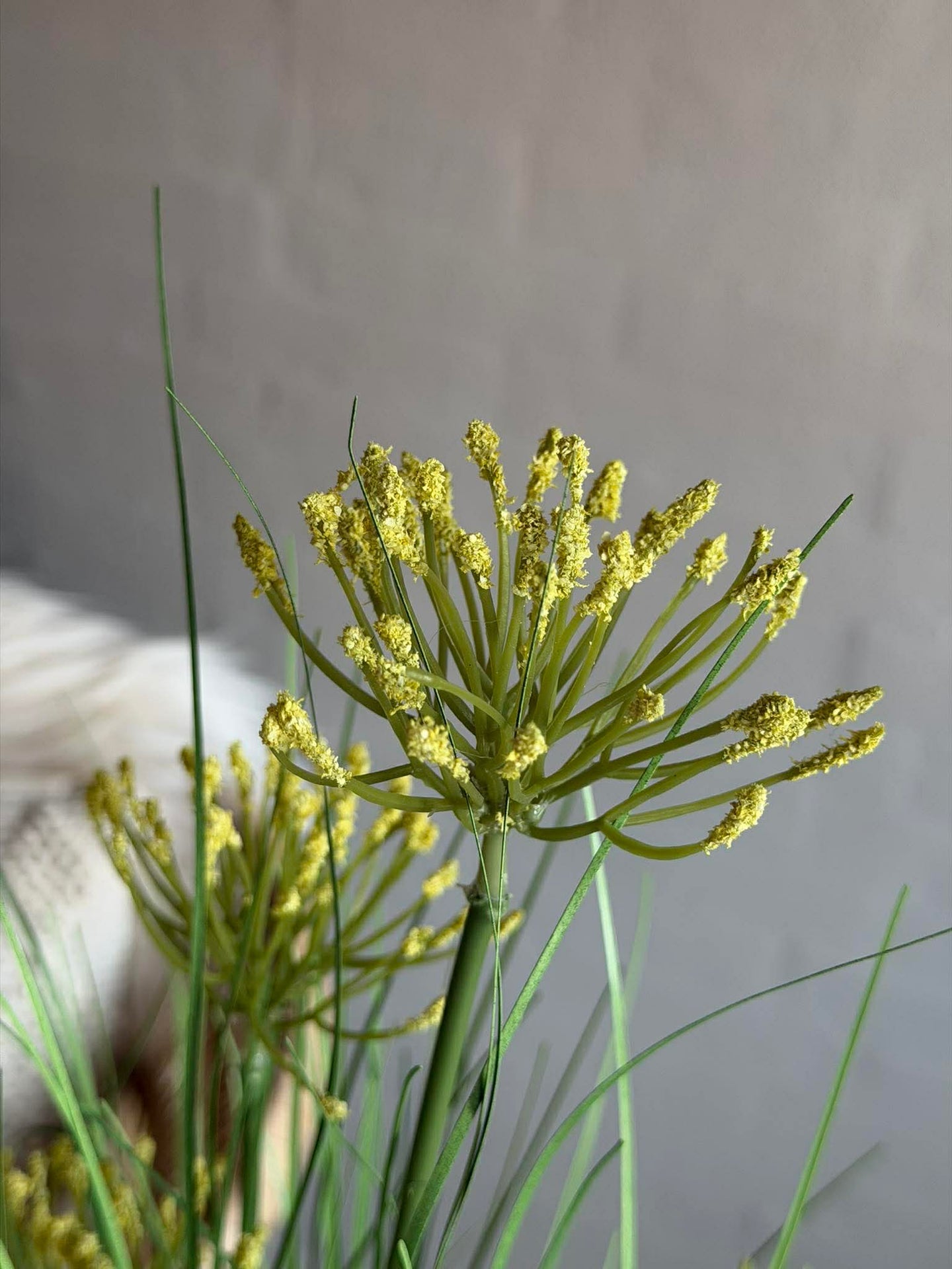 Skjermplante i bukett til inne og ute - 83 cm