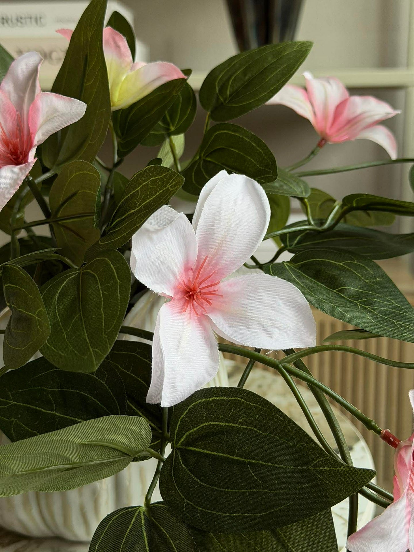 Hengende plante - flere farger