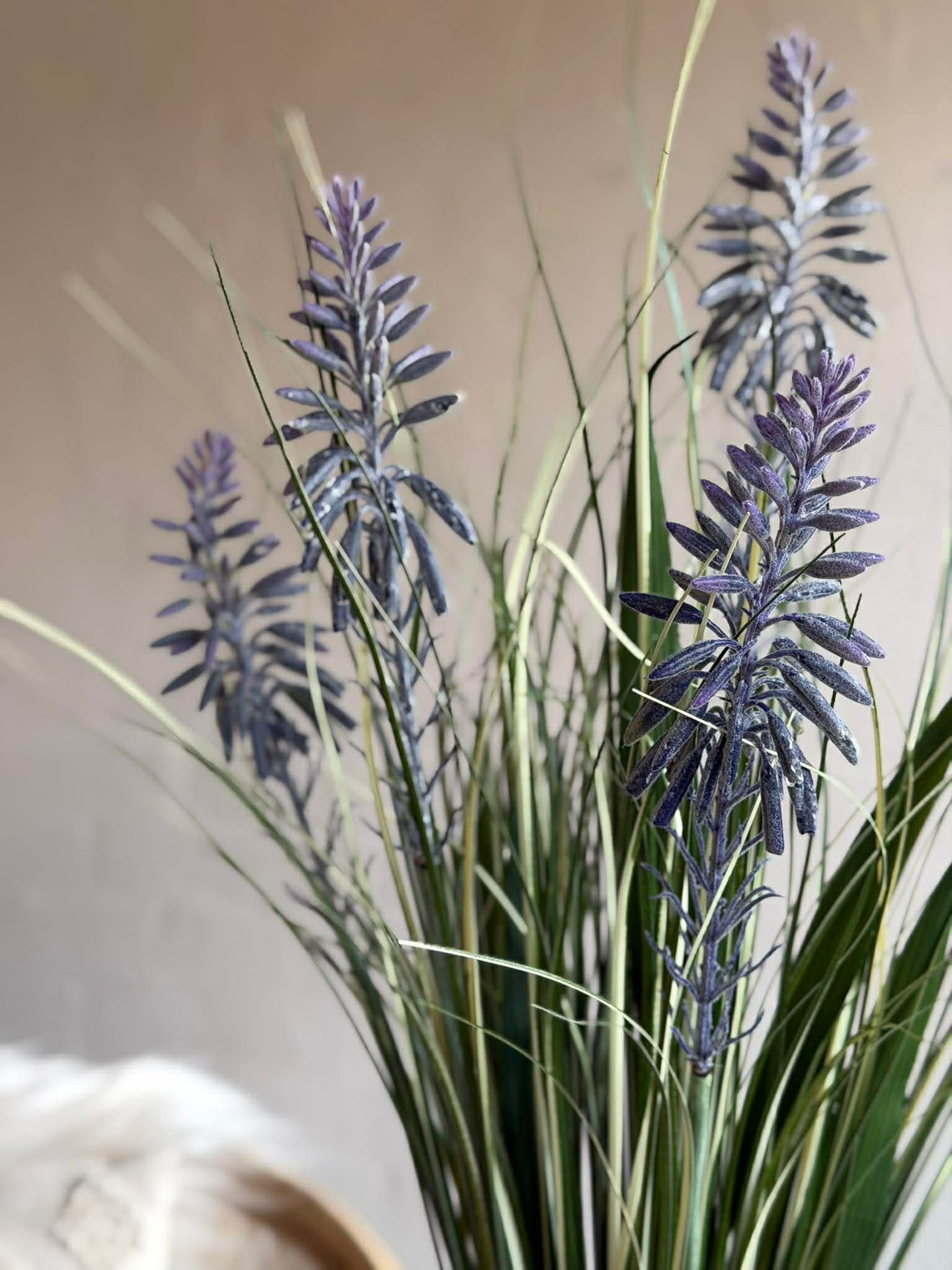 Lupin i bukett til inne og ute - 70 cm