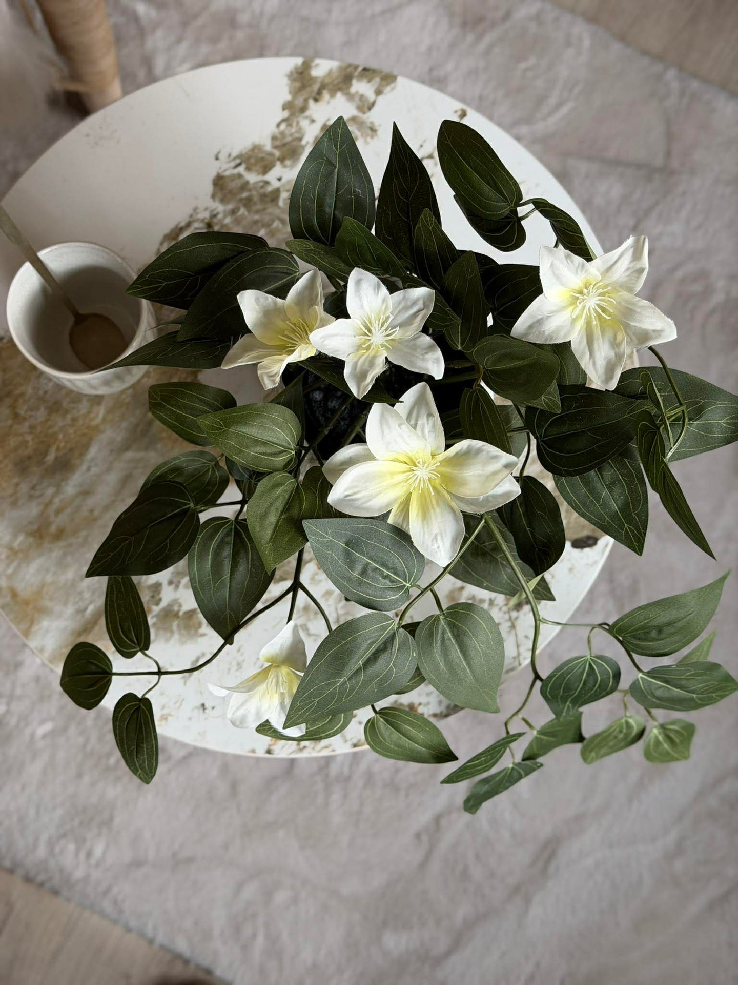 Hengende plante - flere farger