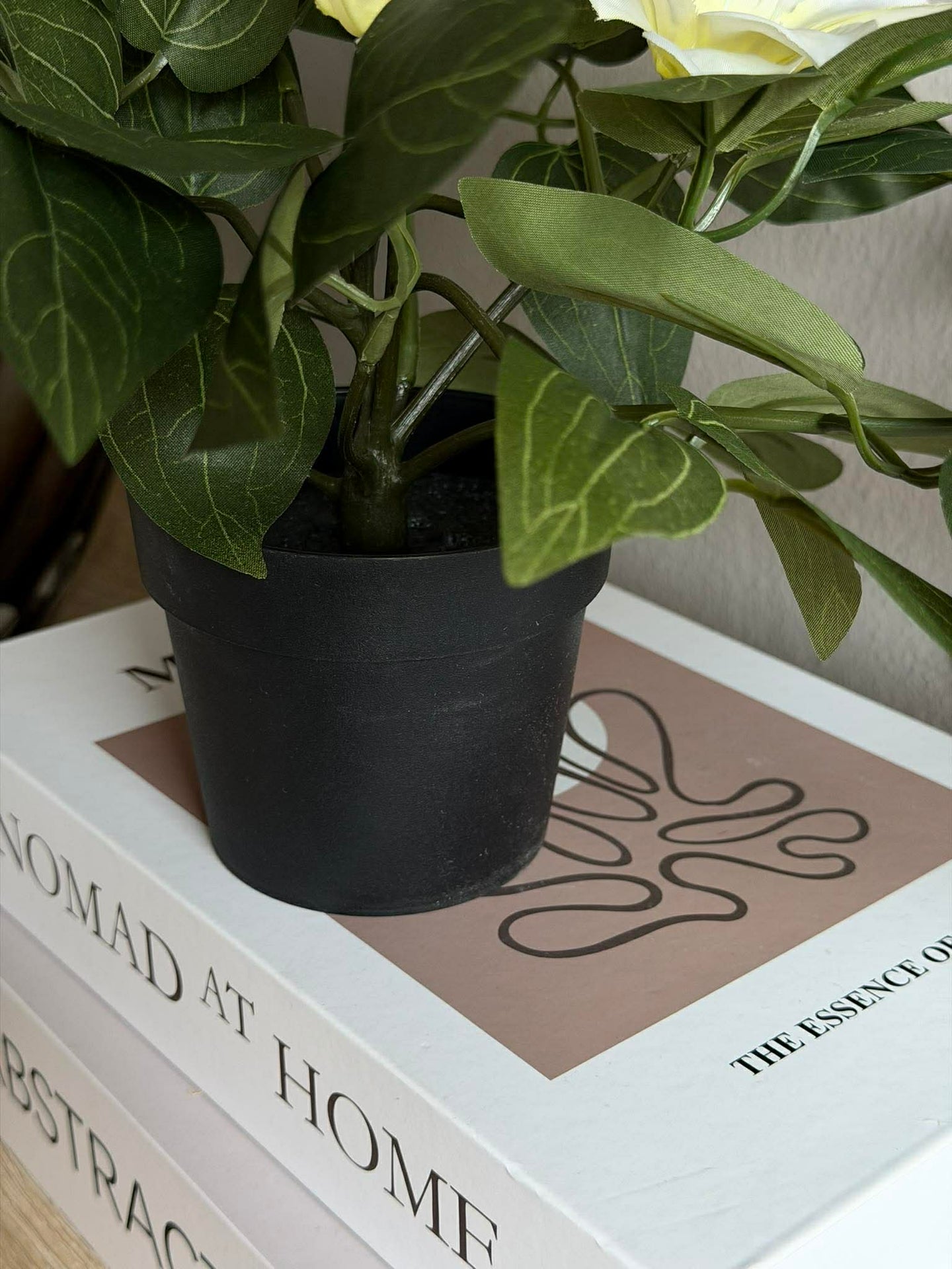 Hengende plante - flere farger