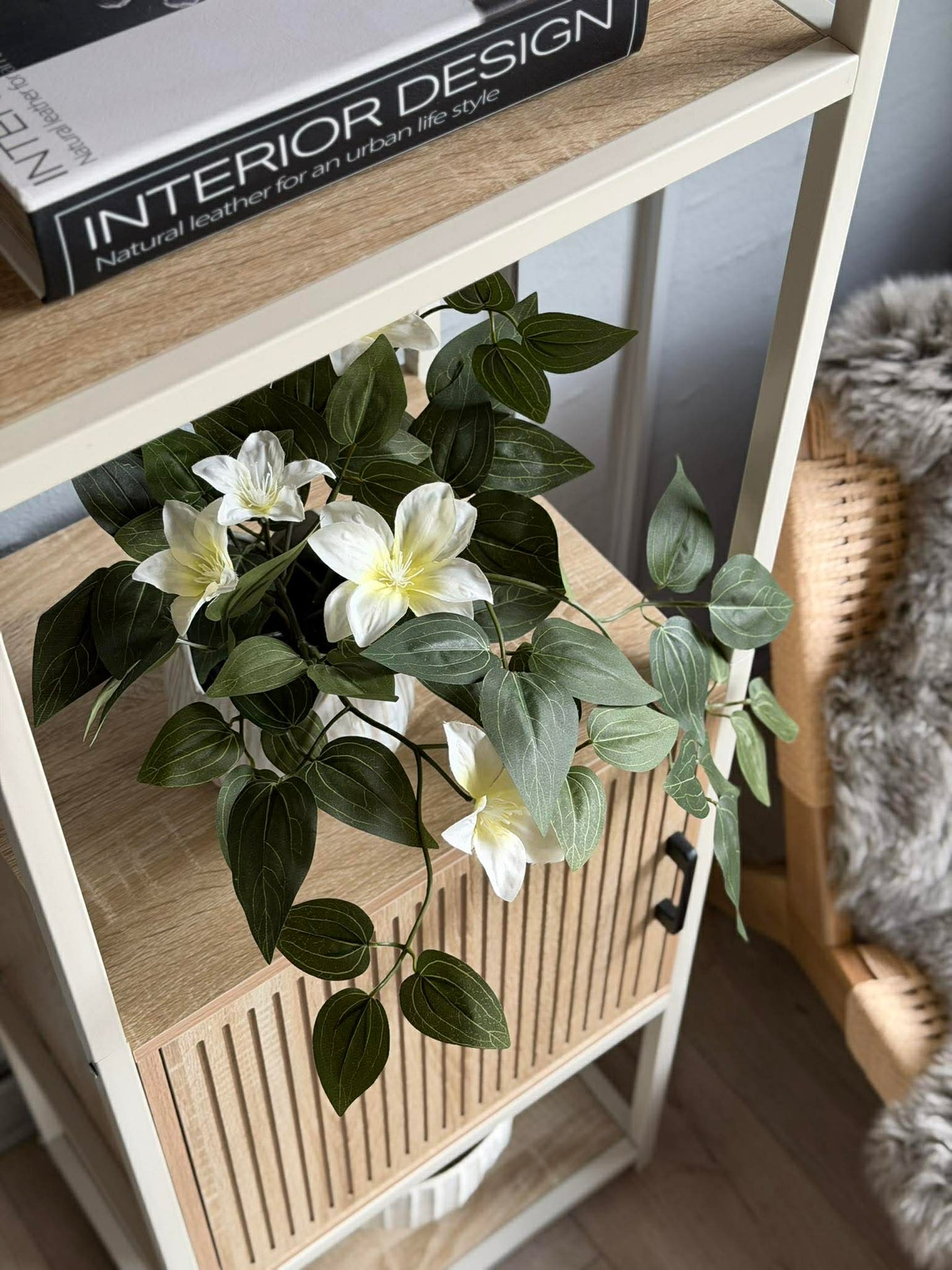 Hengende plante - flere farger