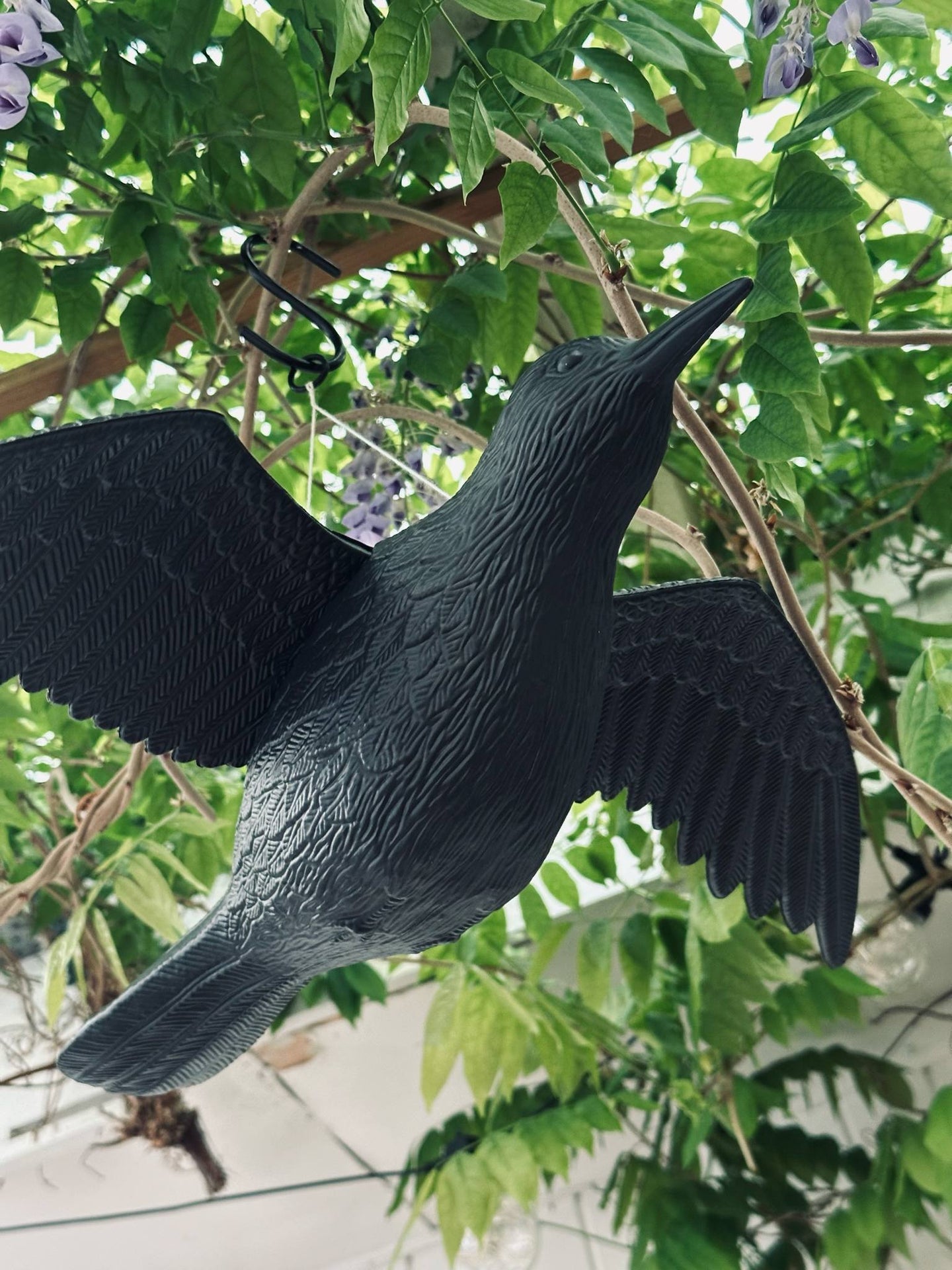 Fugl - RAVEN BLACK