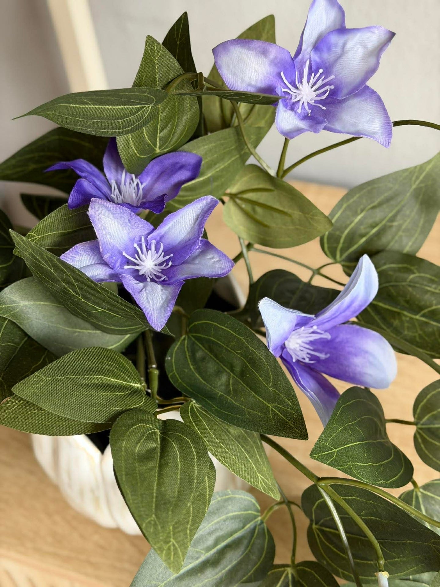 Hengende plante - flere farger