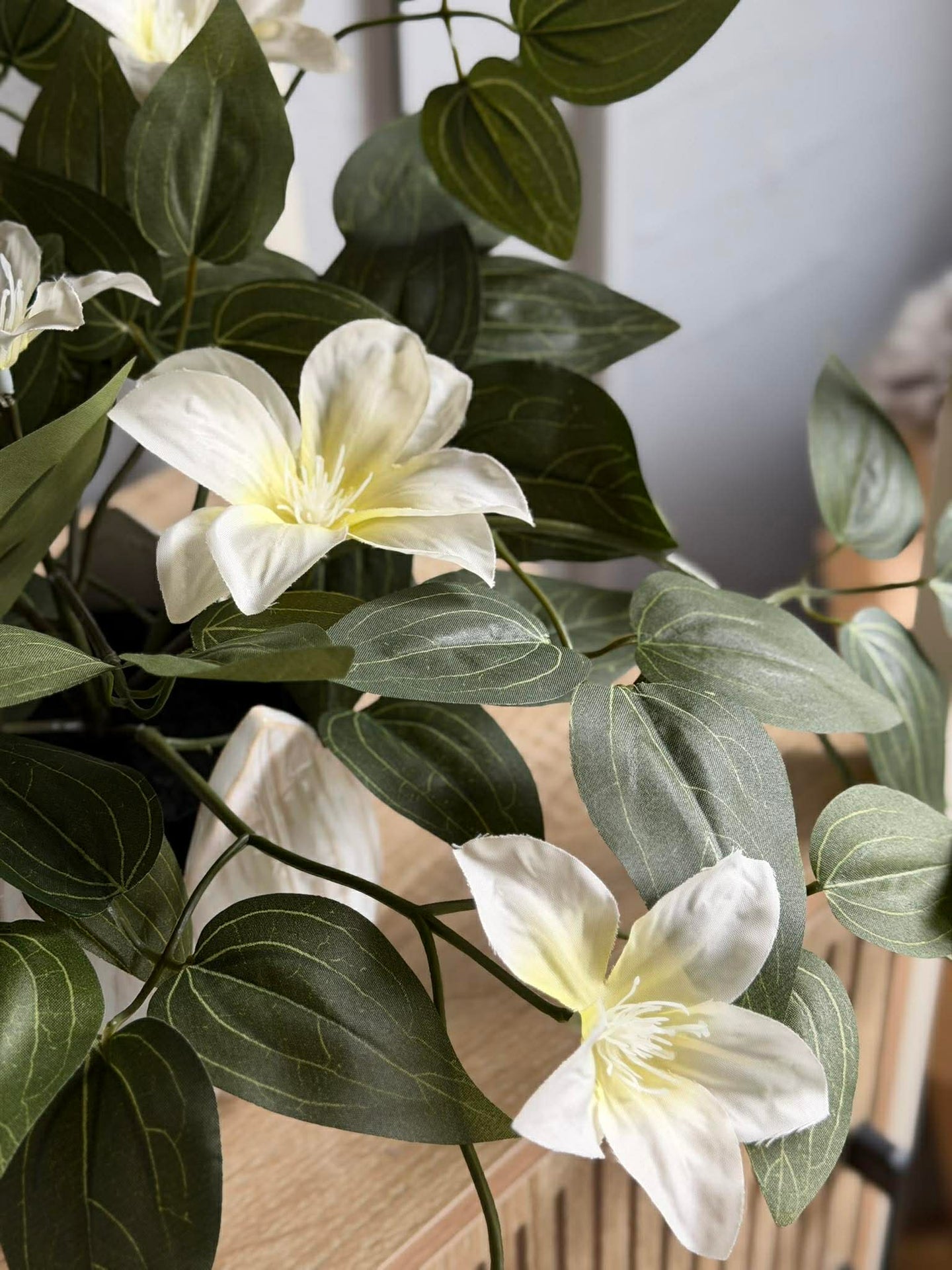 Hengende plante - flere farger