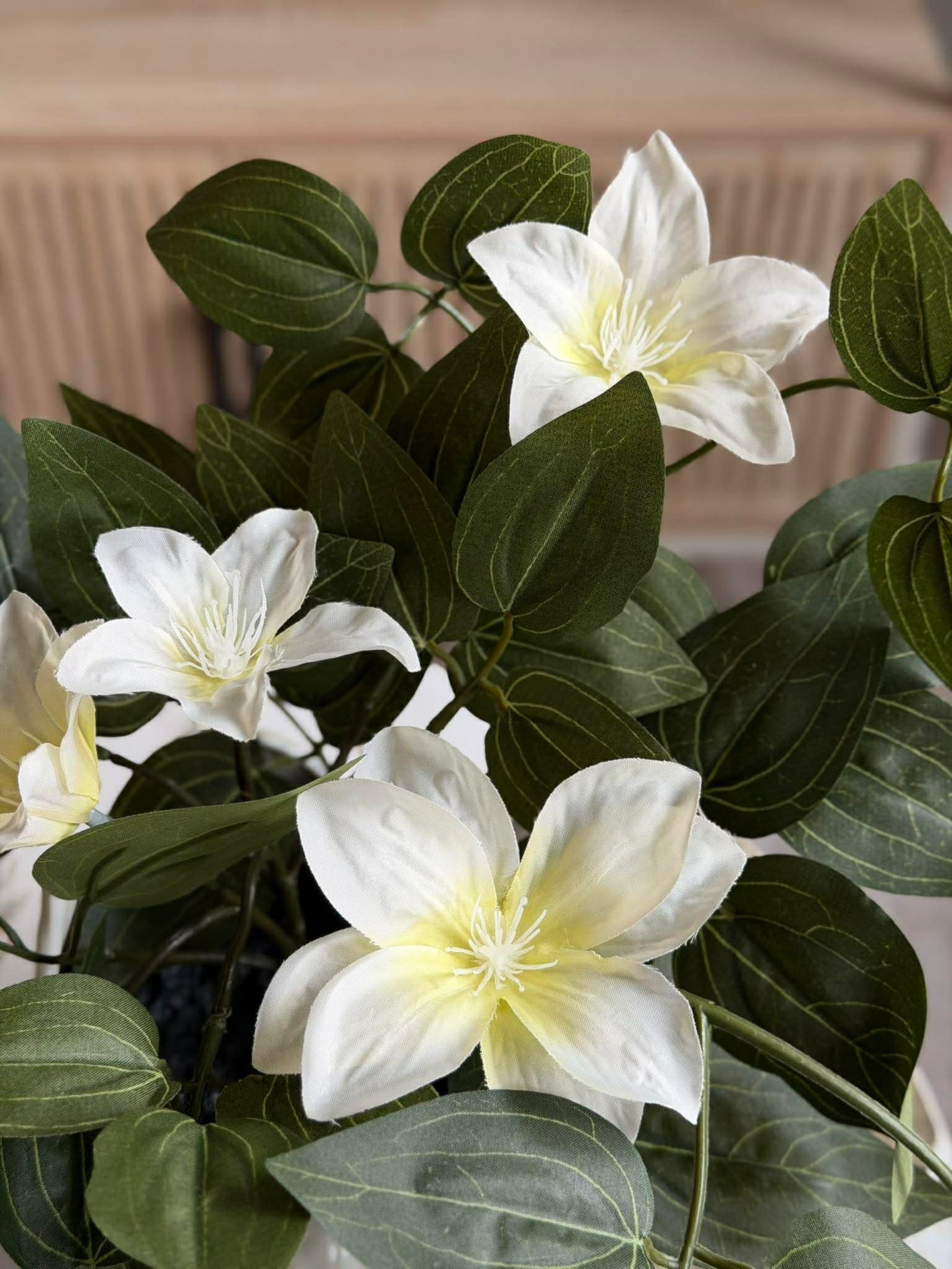 Hengende plante - flere farger