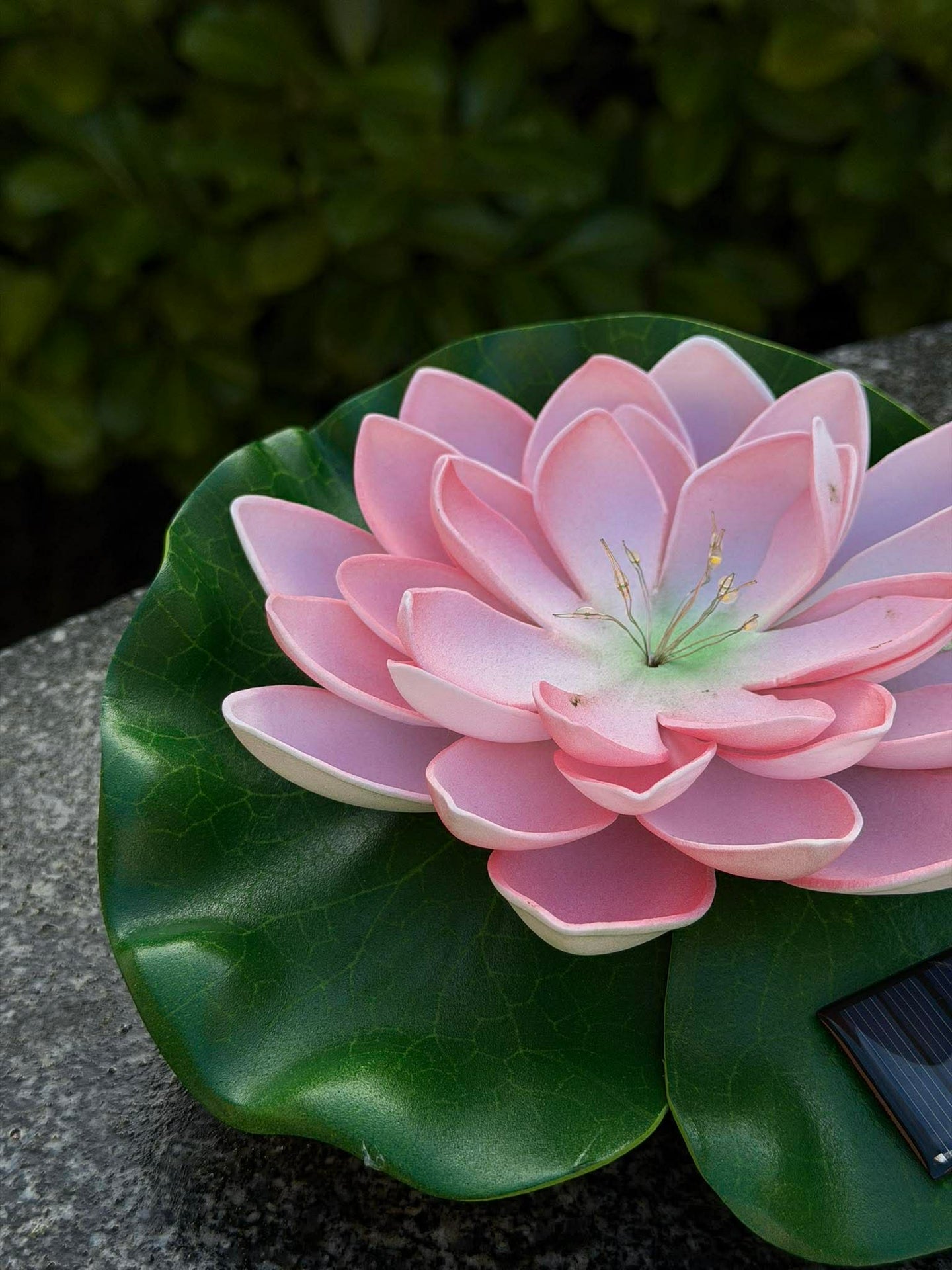 Solcelle LOTUS – Rosa