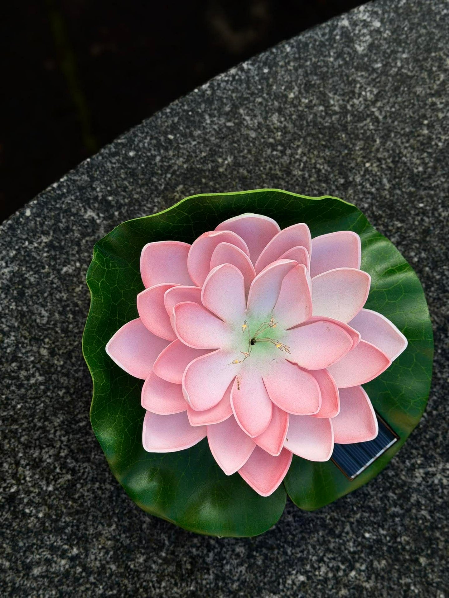 Solcelle LOTUS – Rosa