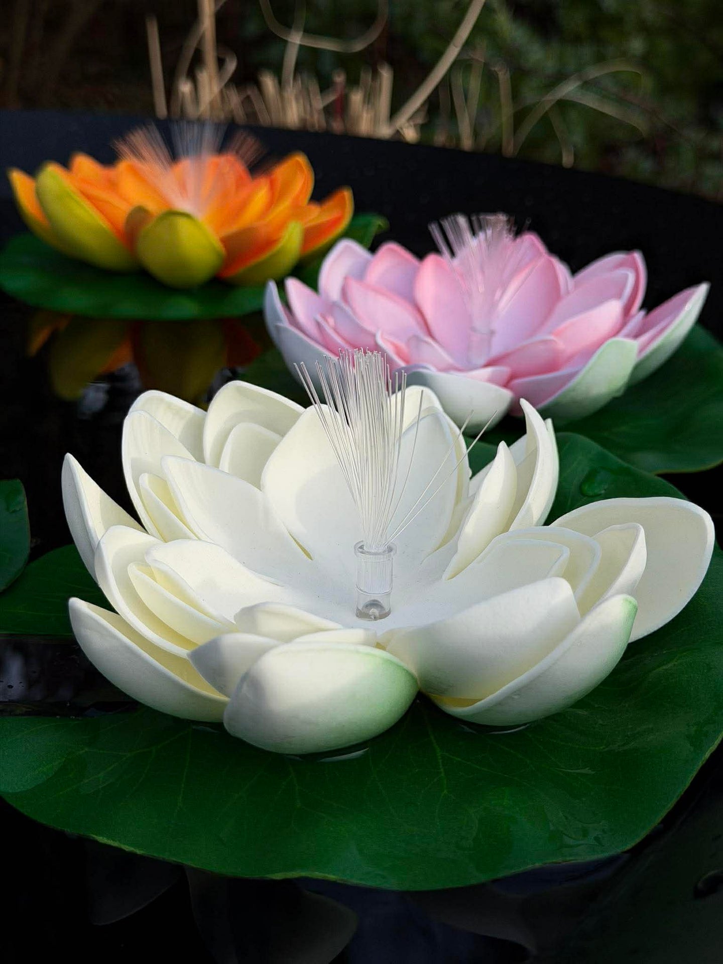 Lotus med solceller - Flere farger