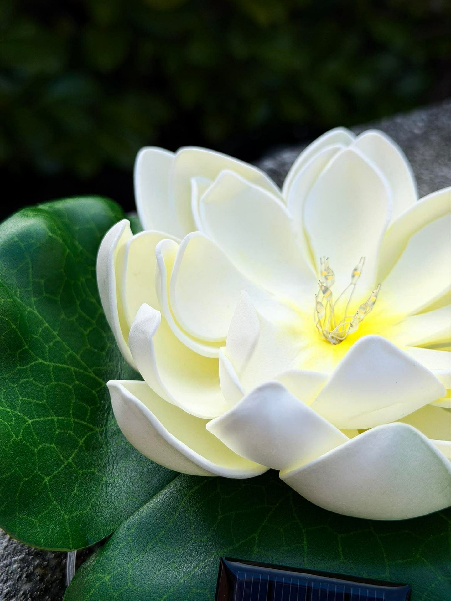 Solcelle LOTUS – Hvit