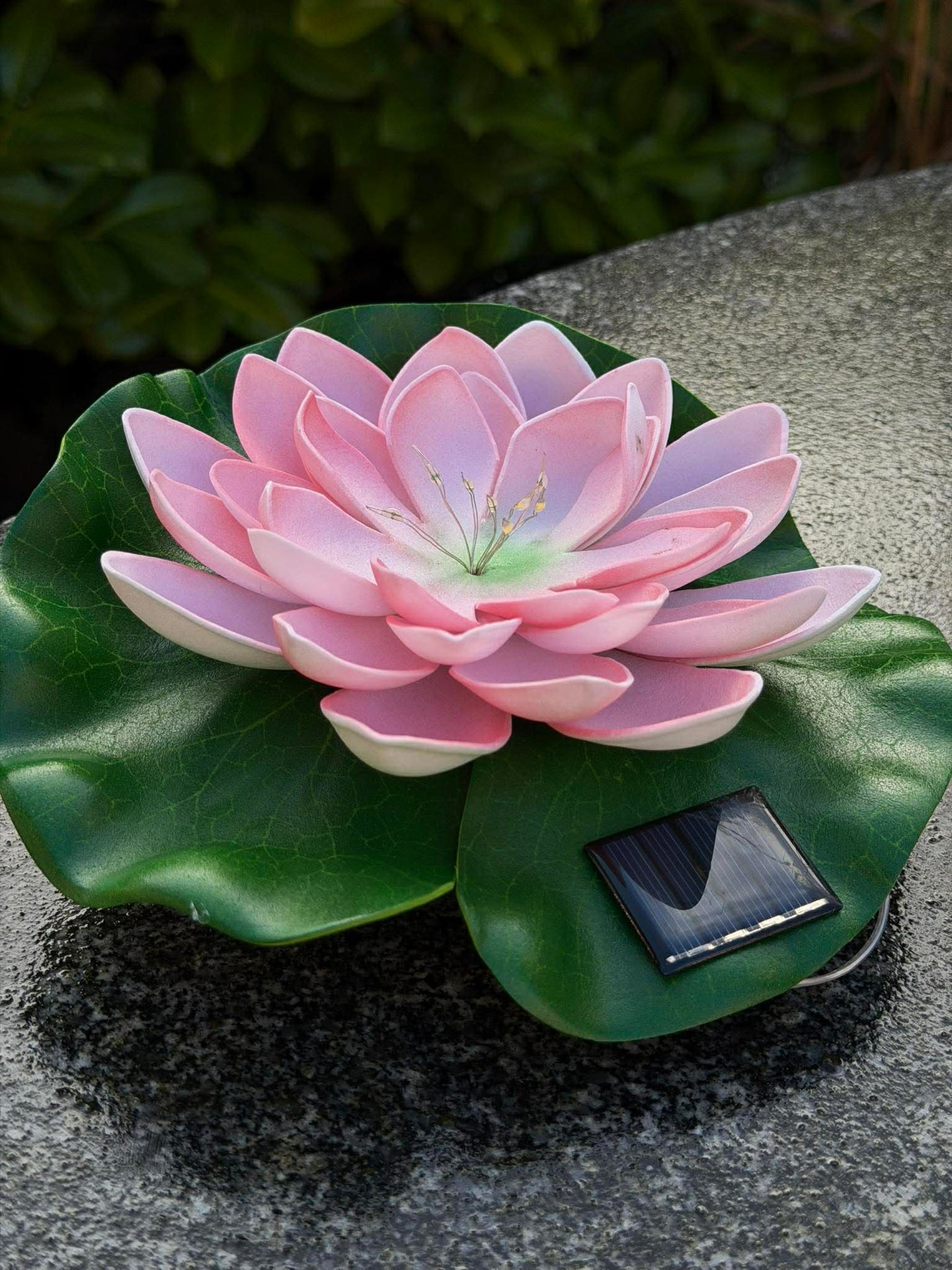 Solcelle LOTUS – Rosa
