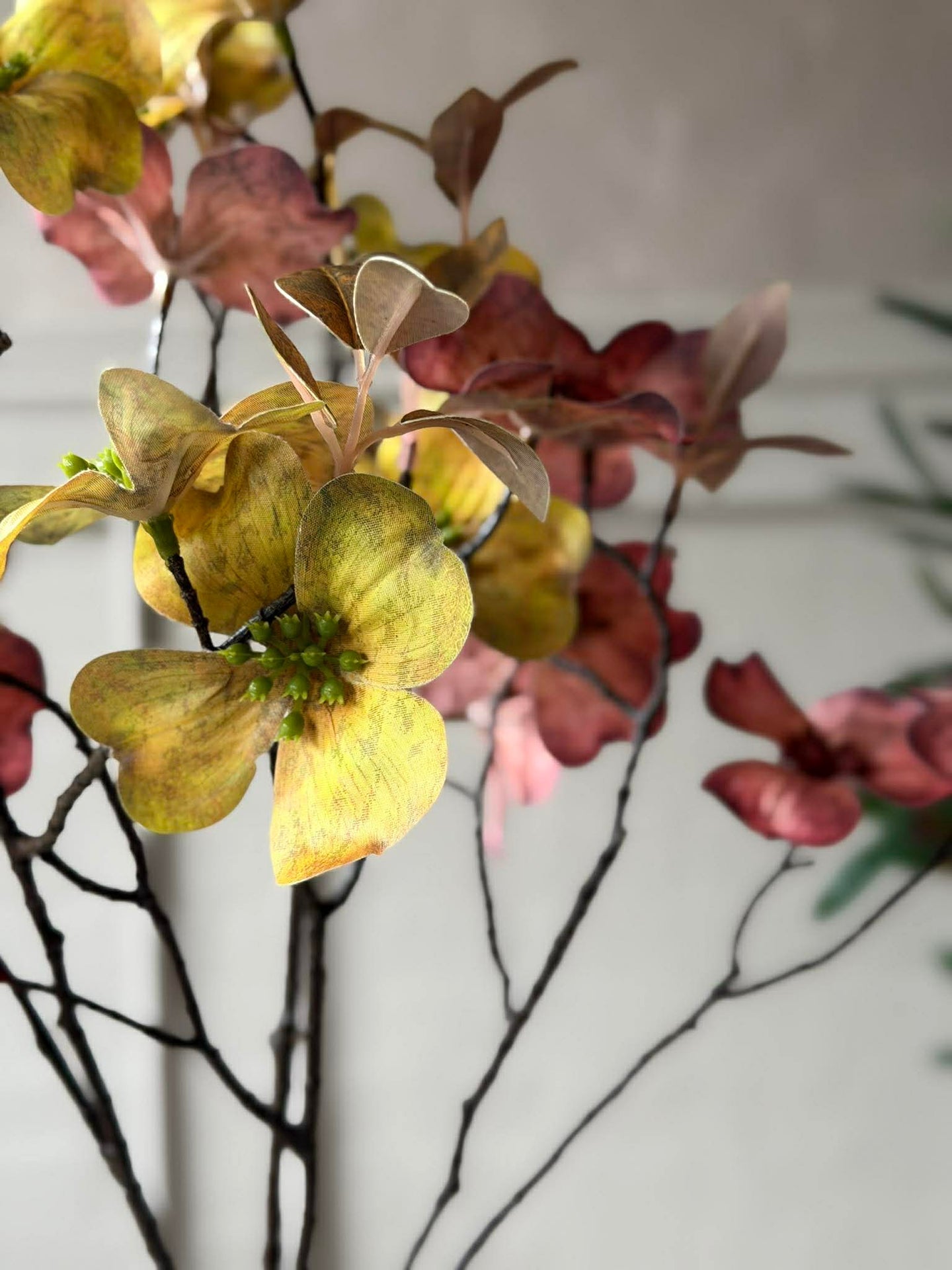 Blomstergren 78 cm - Flere farger