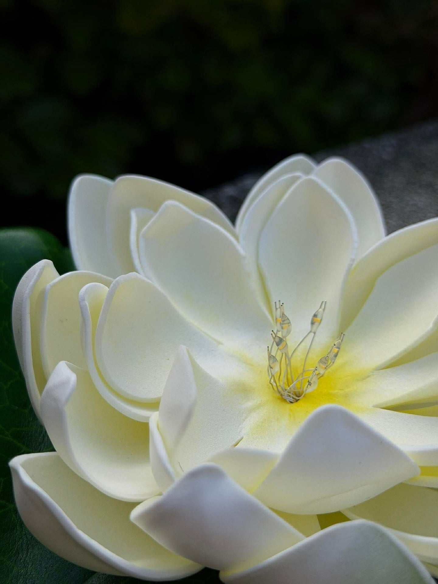 Solcelle LOTUS – Hvit