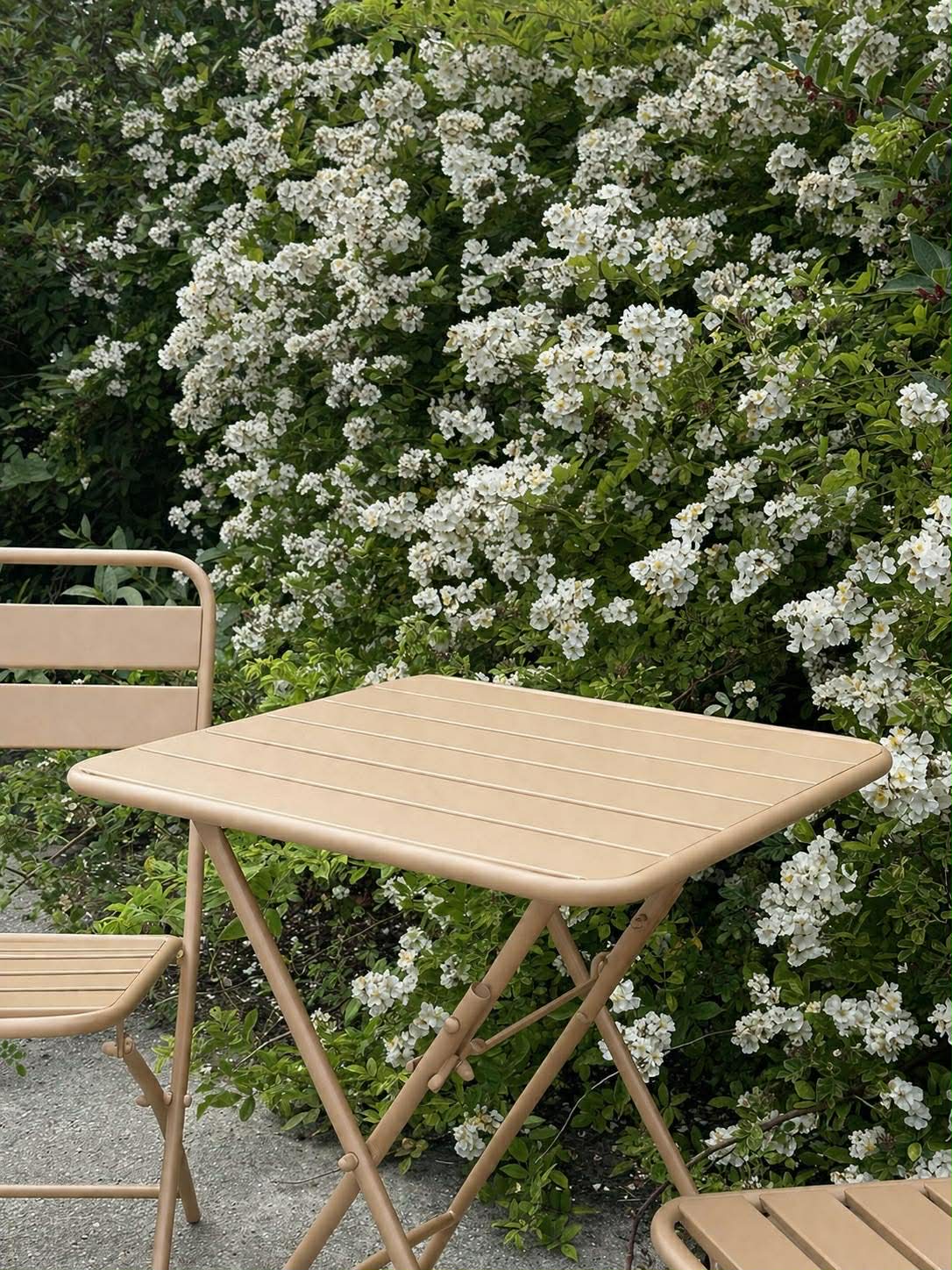 Kafésett - Beige garden