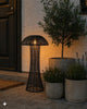Mushroom Solar - Black XL