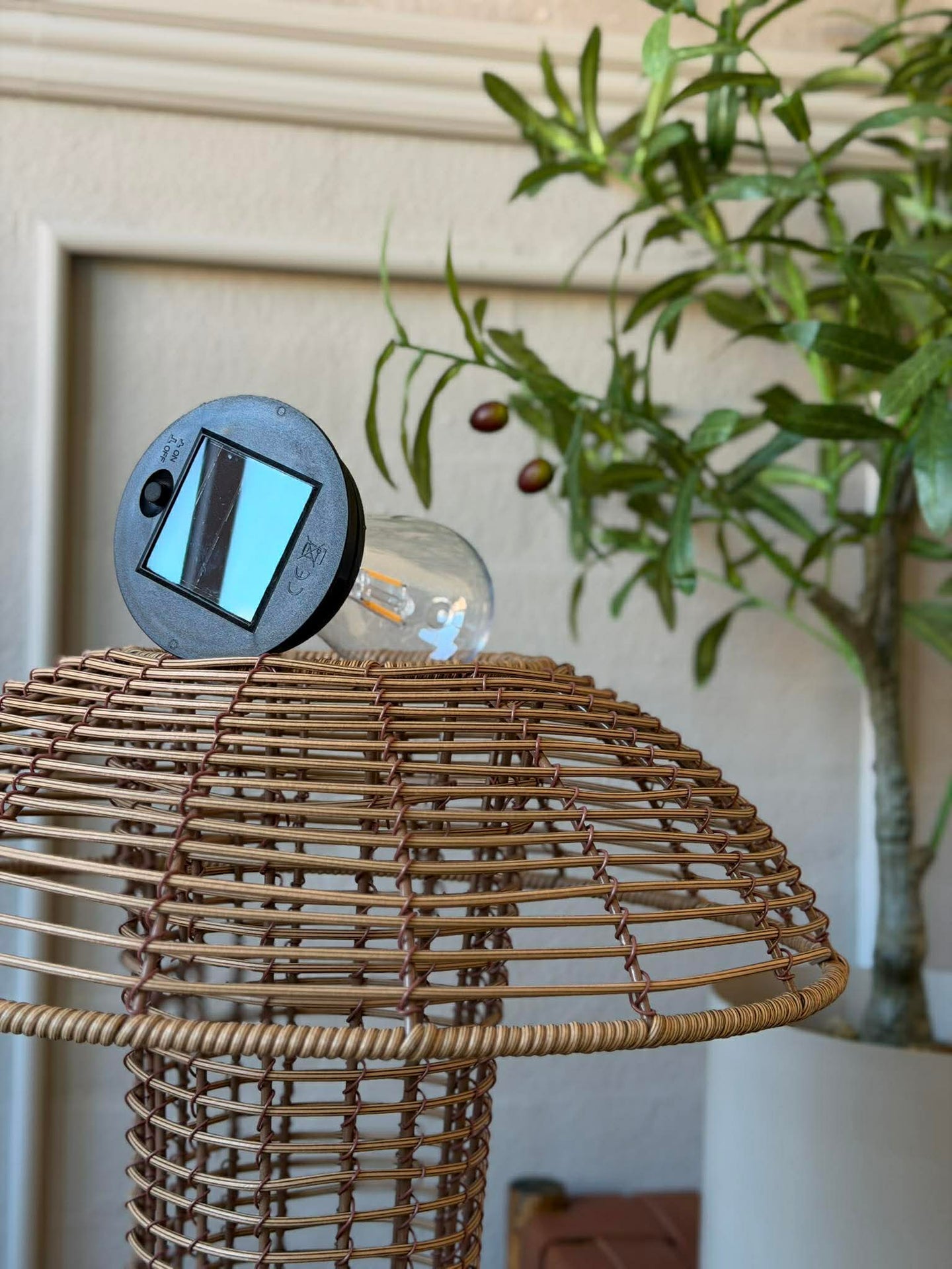Mushroom Solar - Natur XL