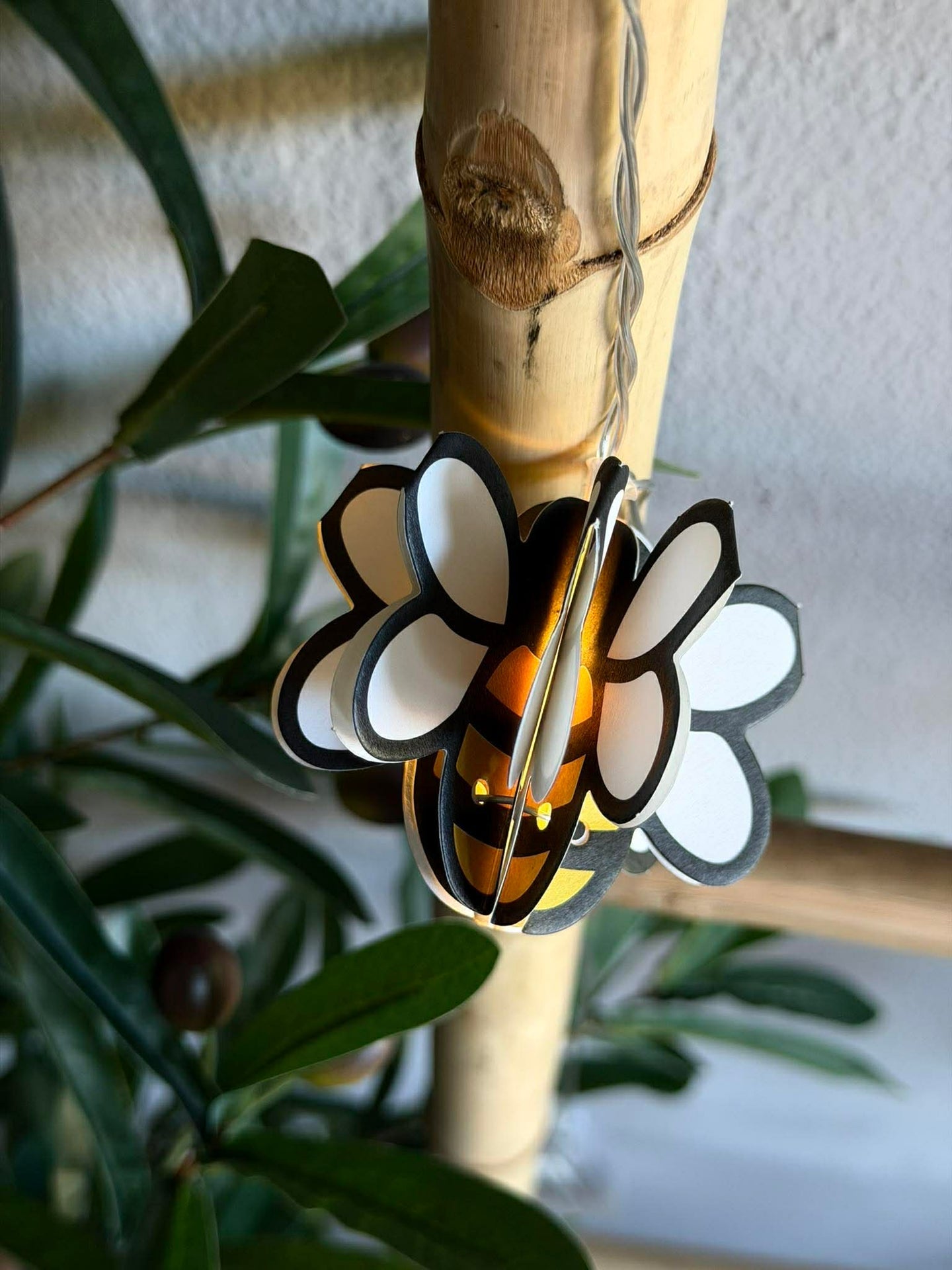 LED-lyskjede - Bier