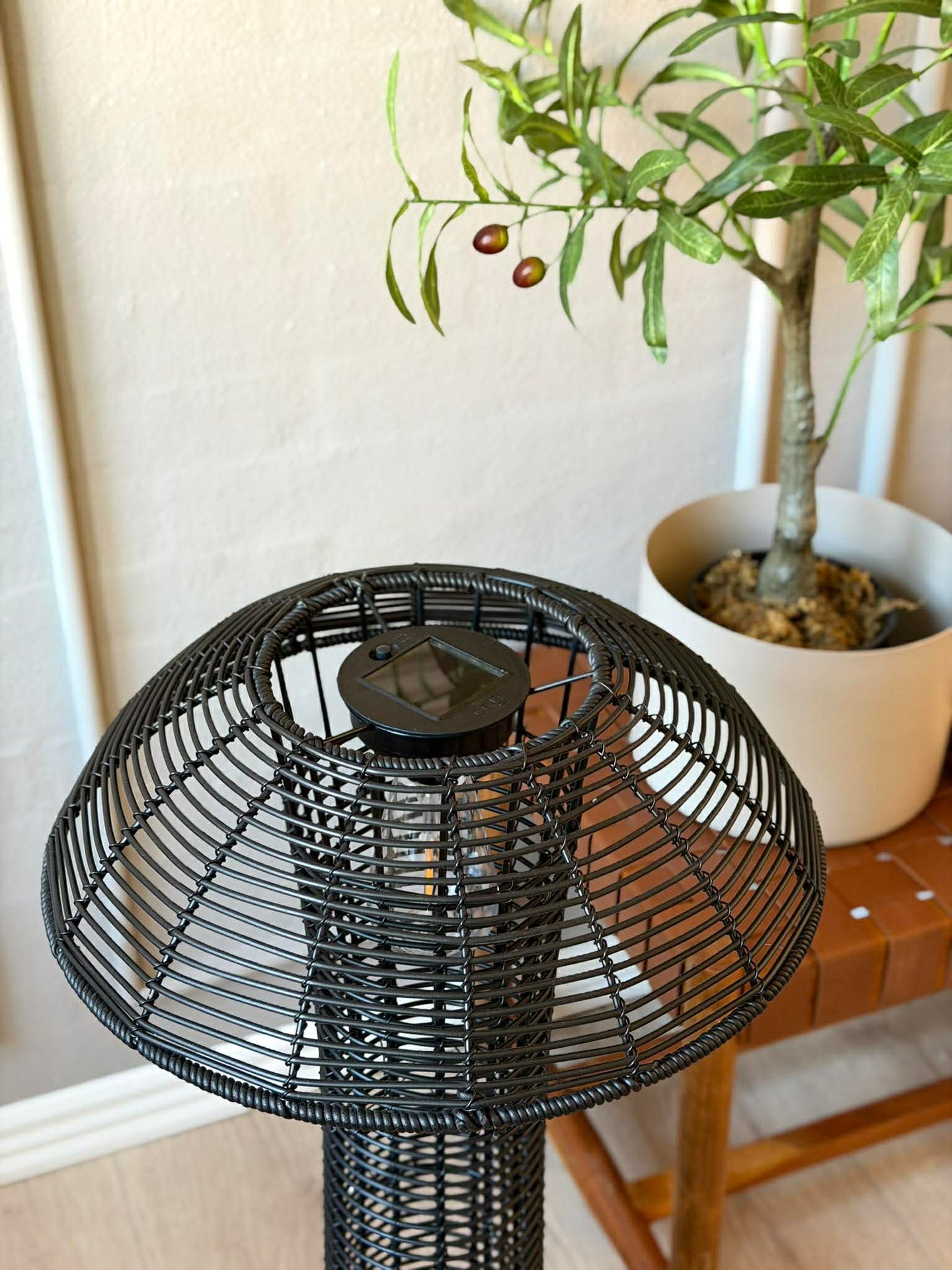 Mushroom Solar - Black XL