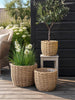 Plantekurver RATTAN natur – Sett med 3 størrelser
