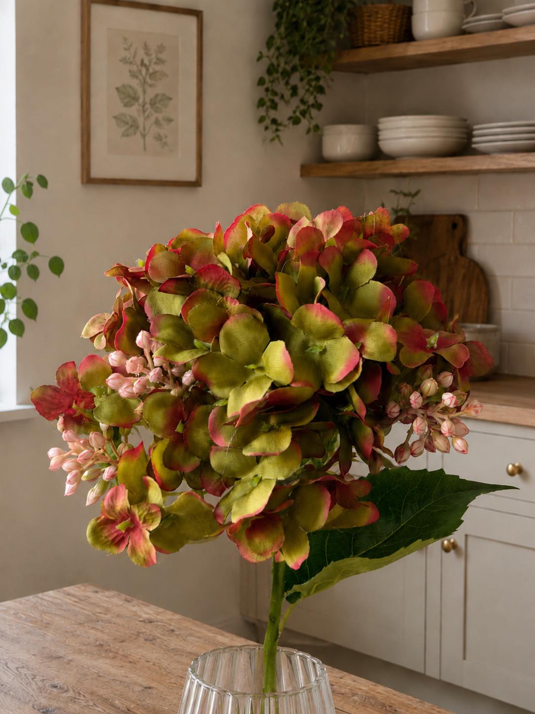 Hortensia grønn - 48 cm