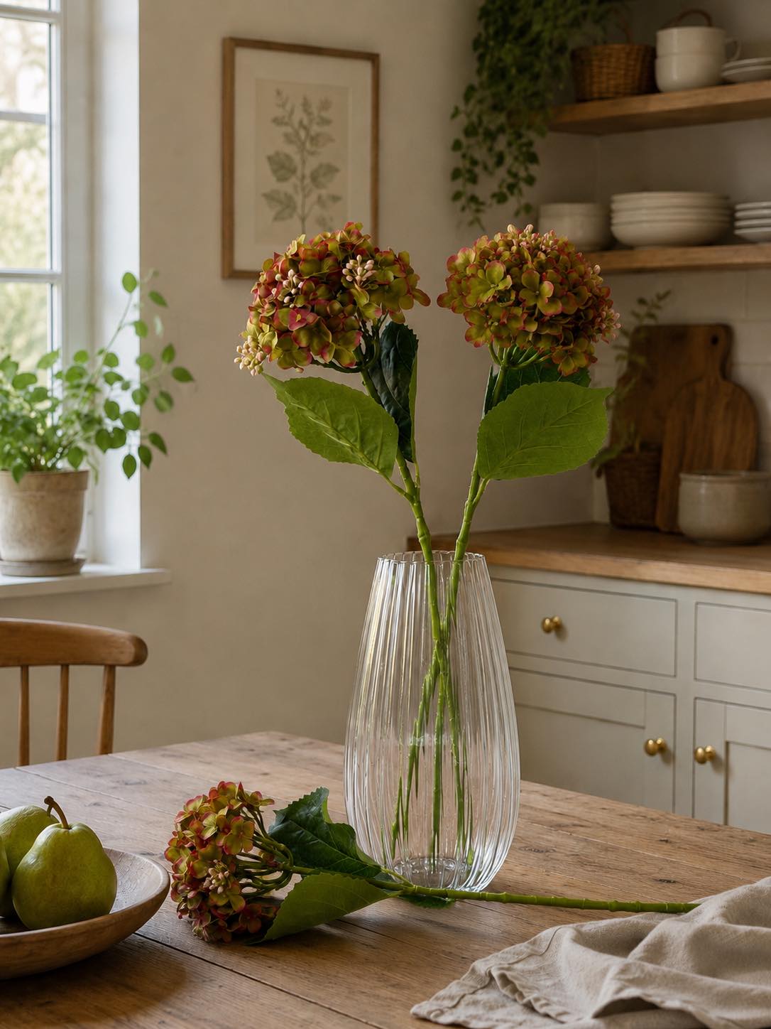 Hortensia grønn - 48 cm