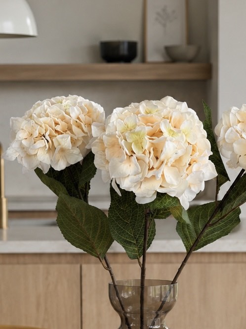 Hortensia krem - 70 cm