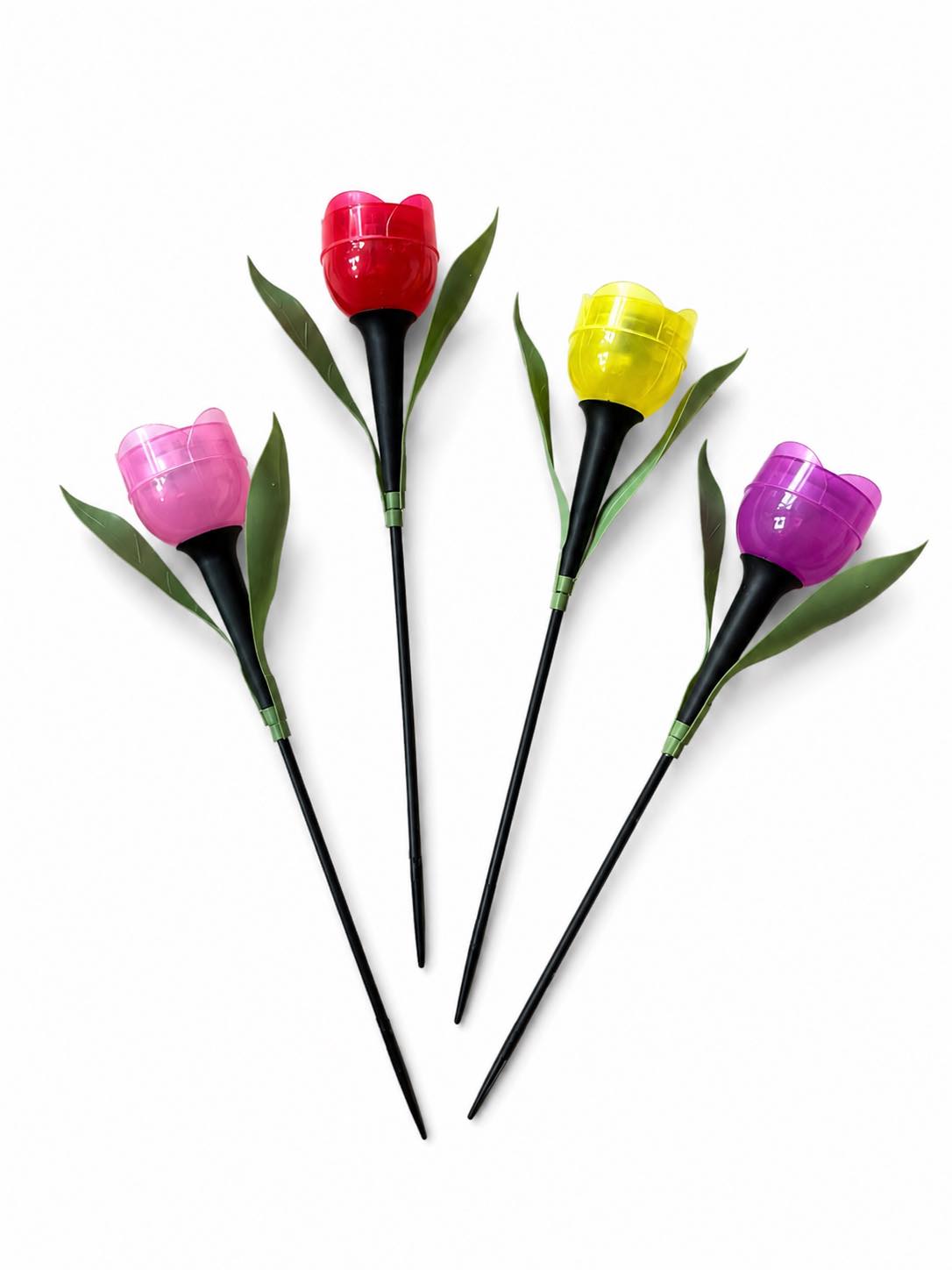 Tulipan Solar - Flere farger