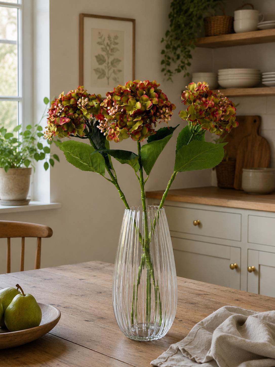 Hortensia grønn - 48 cm