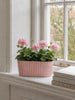 Avlang potte i betong-look - Rosa