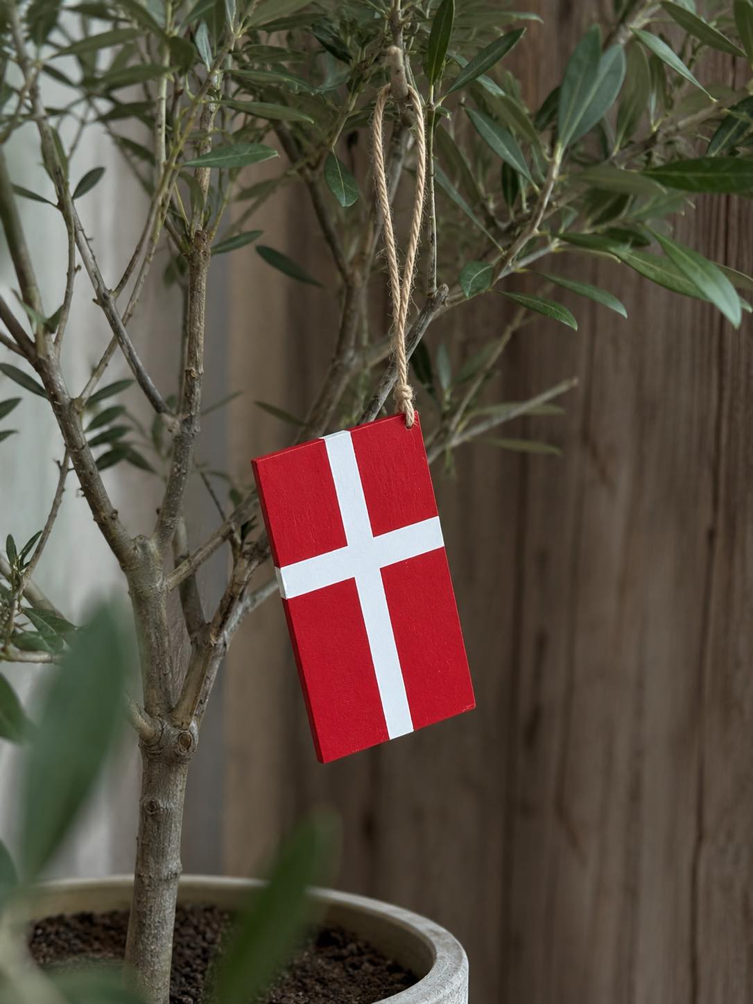 Dannebrog med oppheng - Flere størrelser