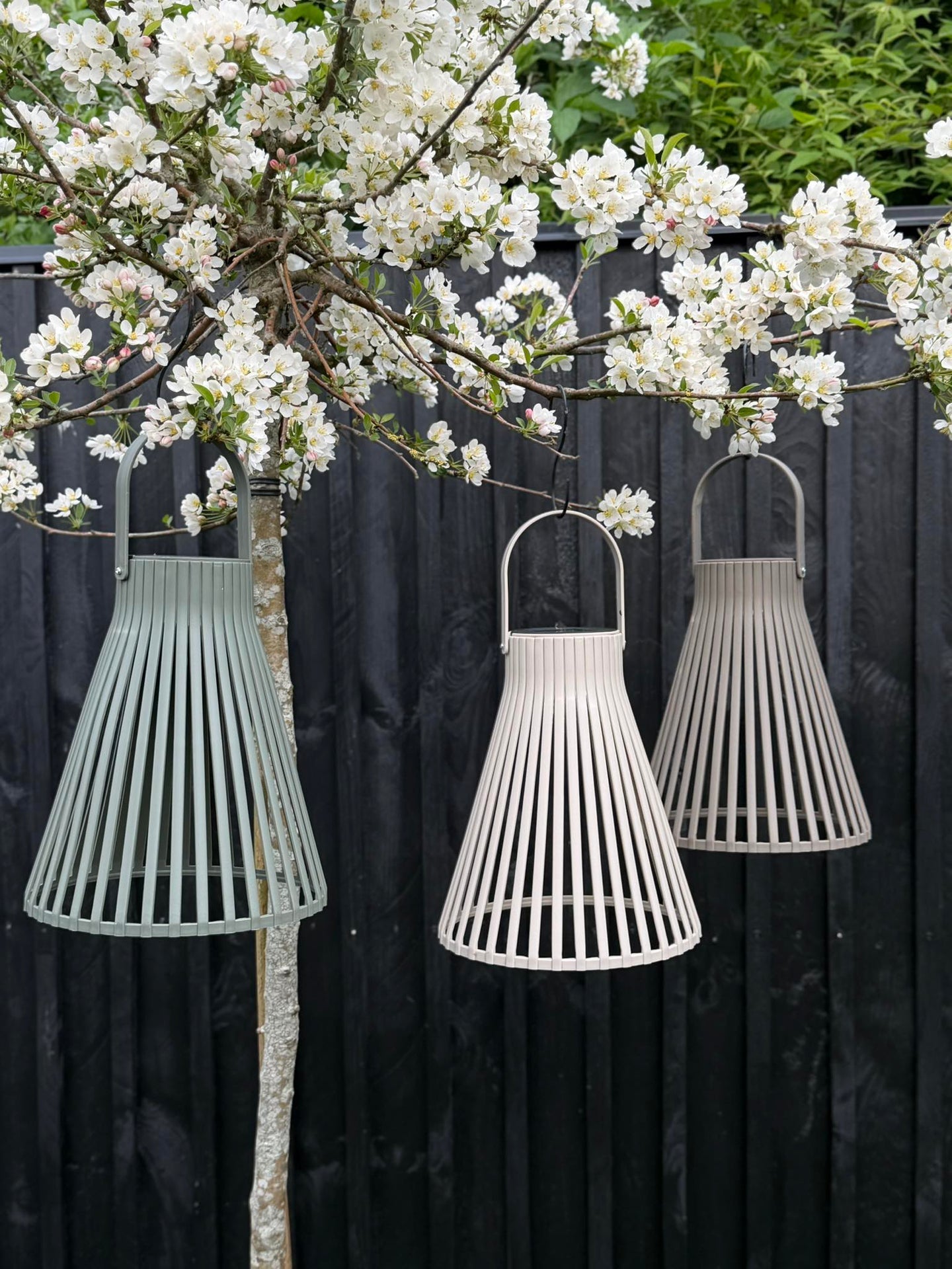 Lanterne Emily solar 24 cm - Flere farger