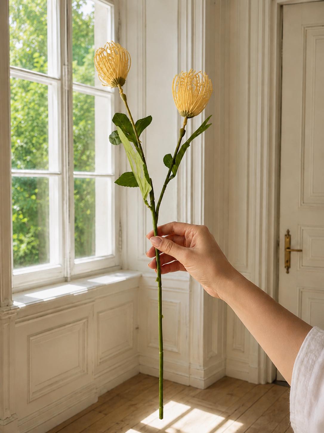Blomstergren Krysantemum - Flere farger