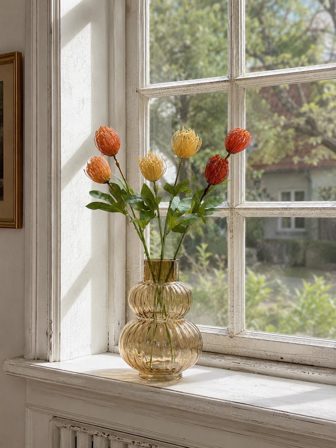Blomstergren Krysantemum - Flere farger