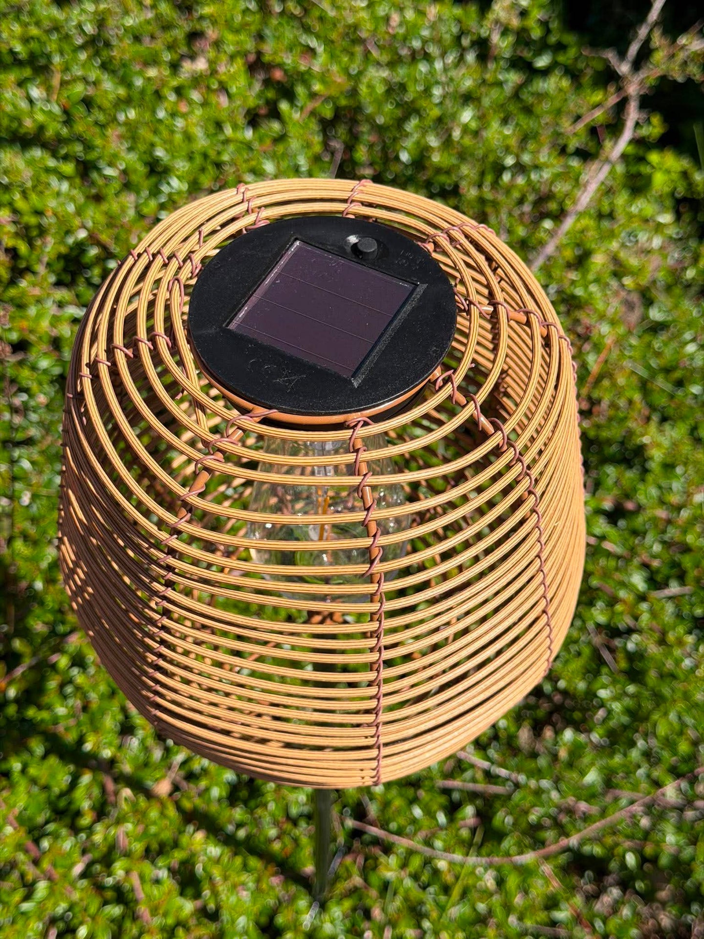 Lanterne Oval på spyd - Flere farger