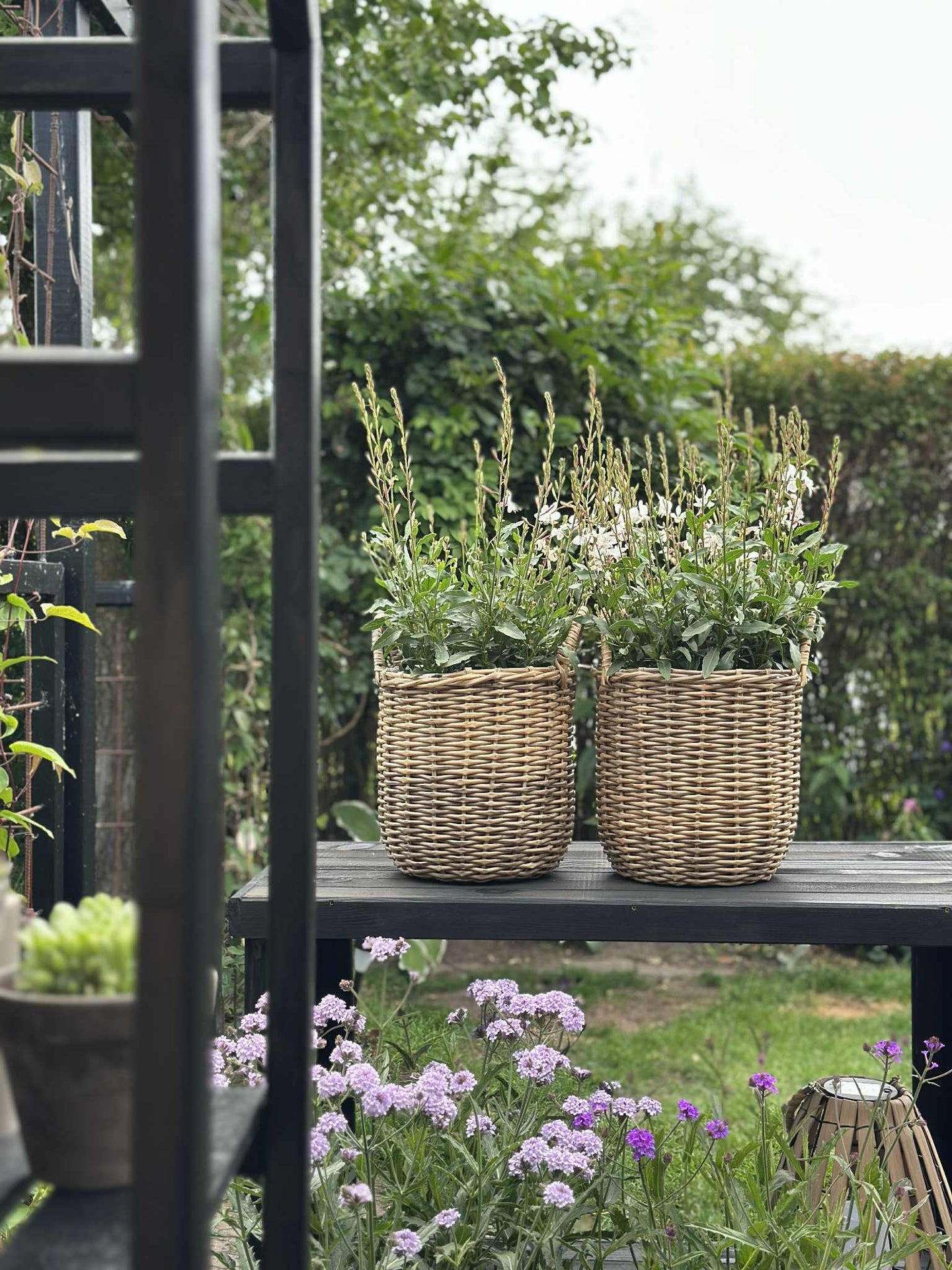 Plantekurver i natur - 3 stk