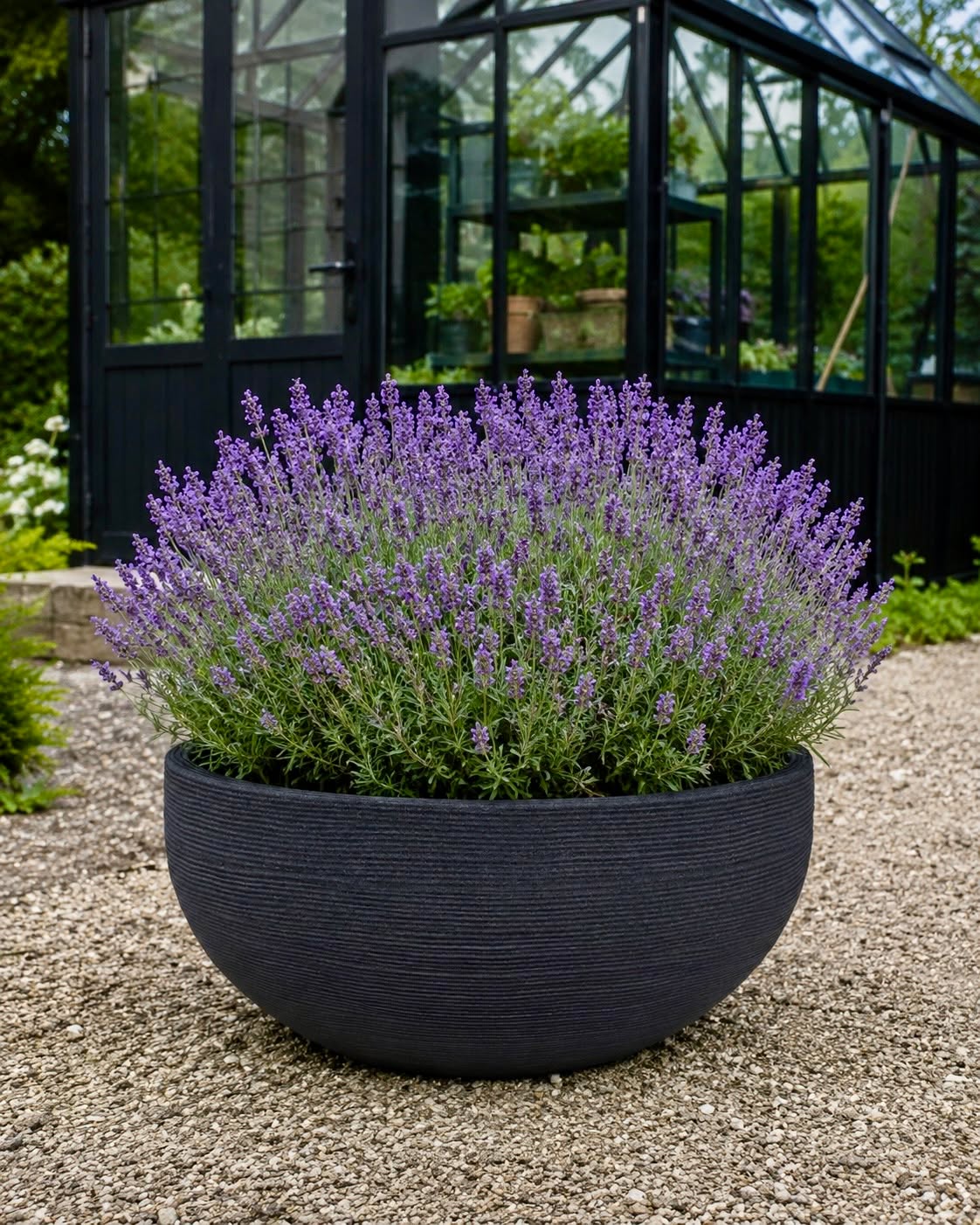 Speilbasseng black garden
