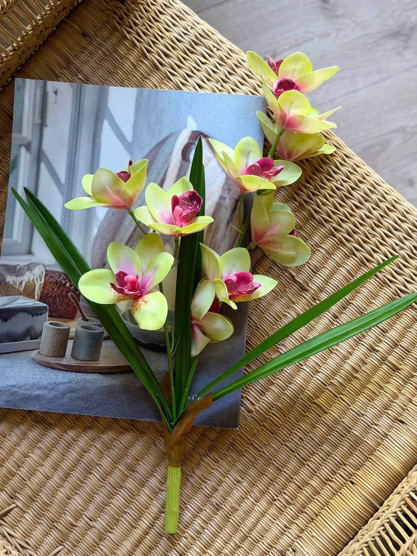 Orkidé stilk - 43 cm Rosa / gul