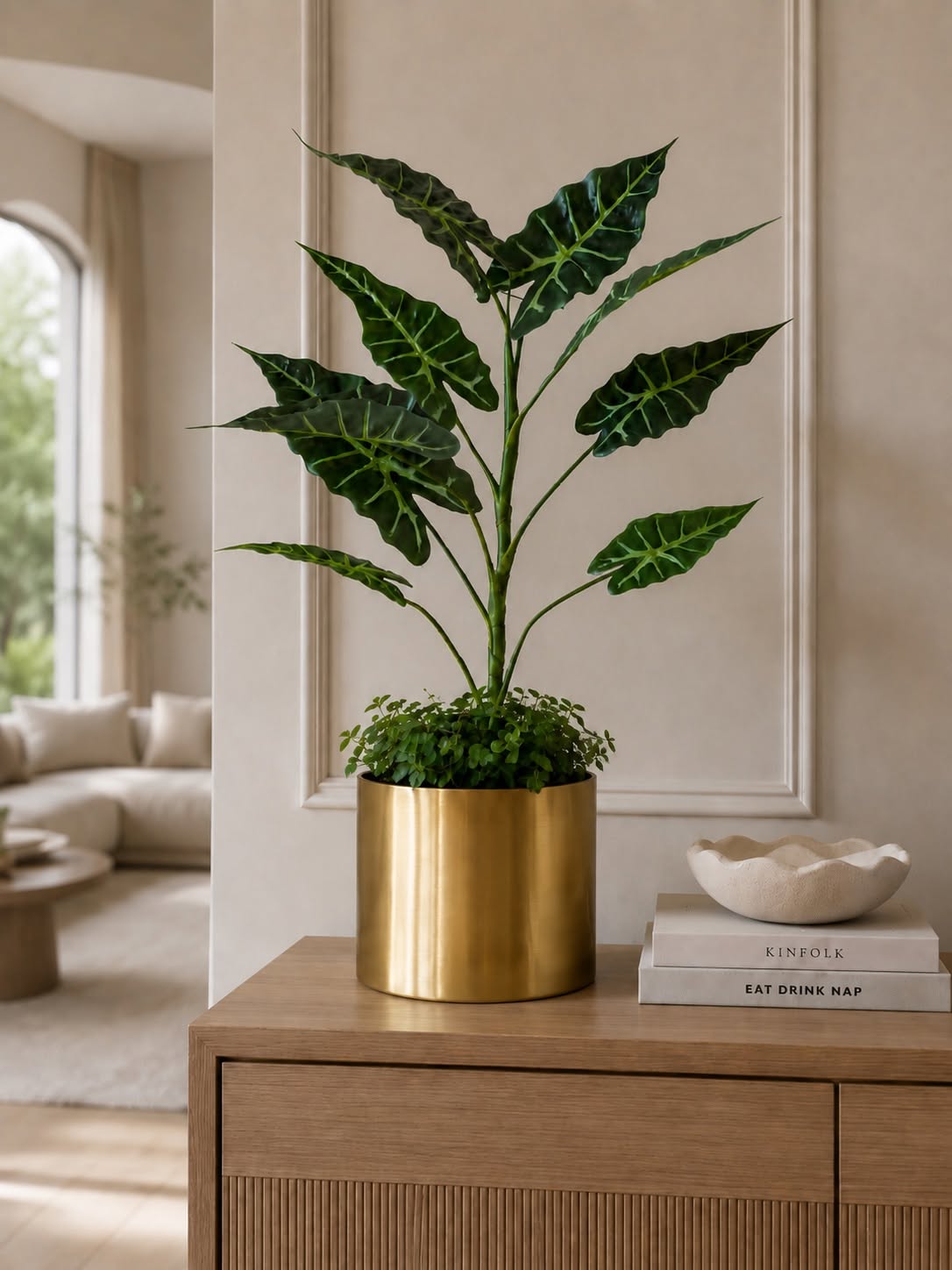 Plante Alocasia H:80 cm Broket