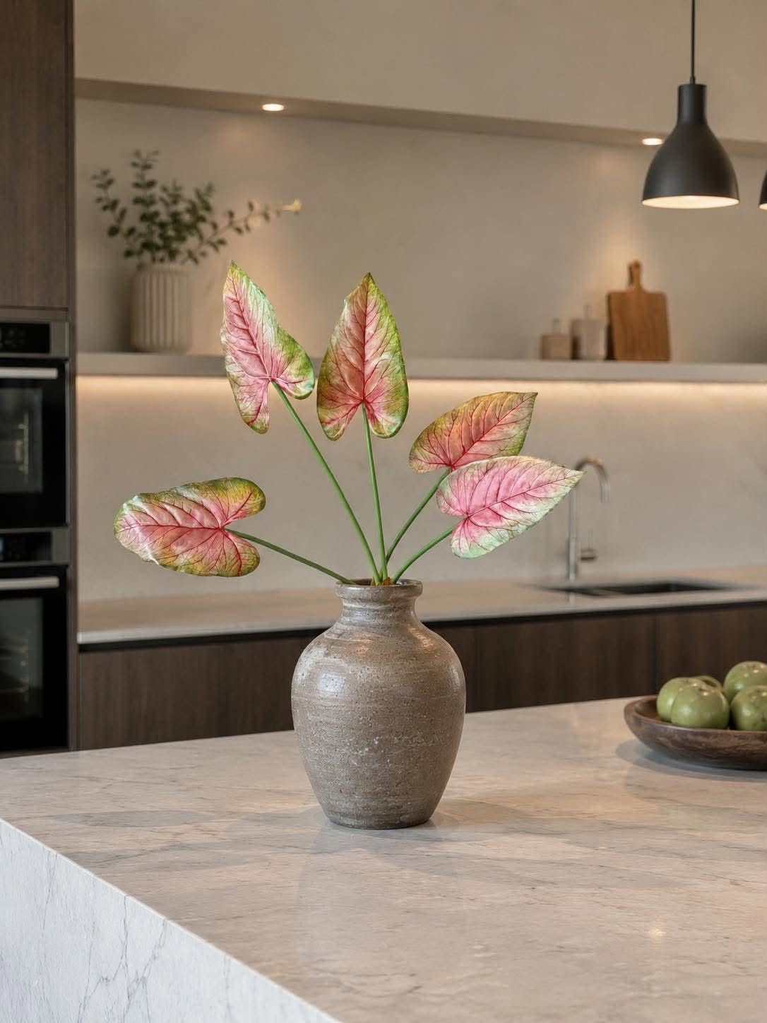 Plante Caladium 66 cm Rosa