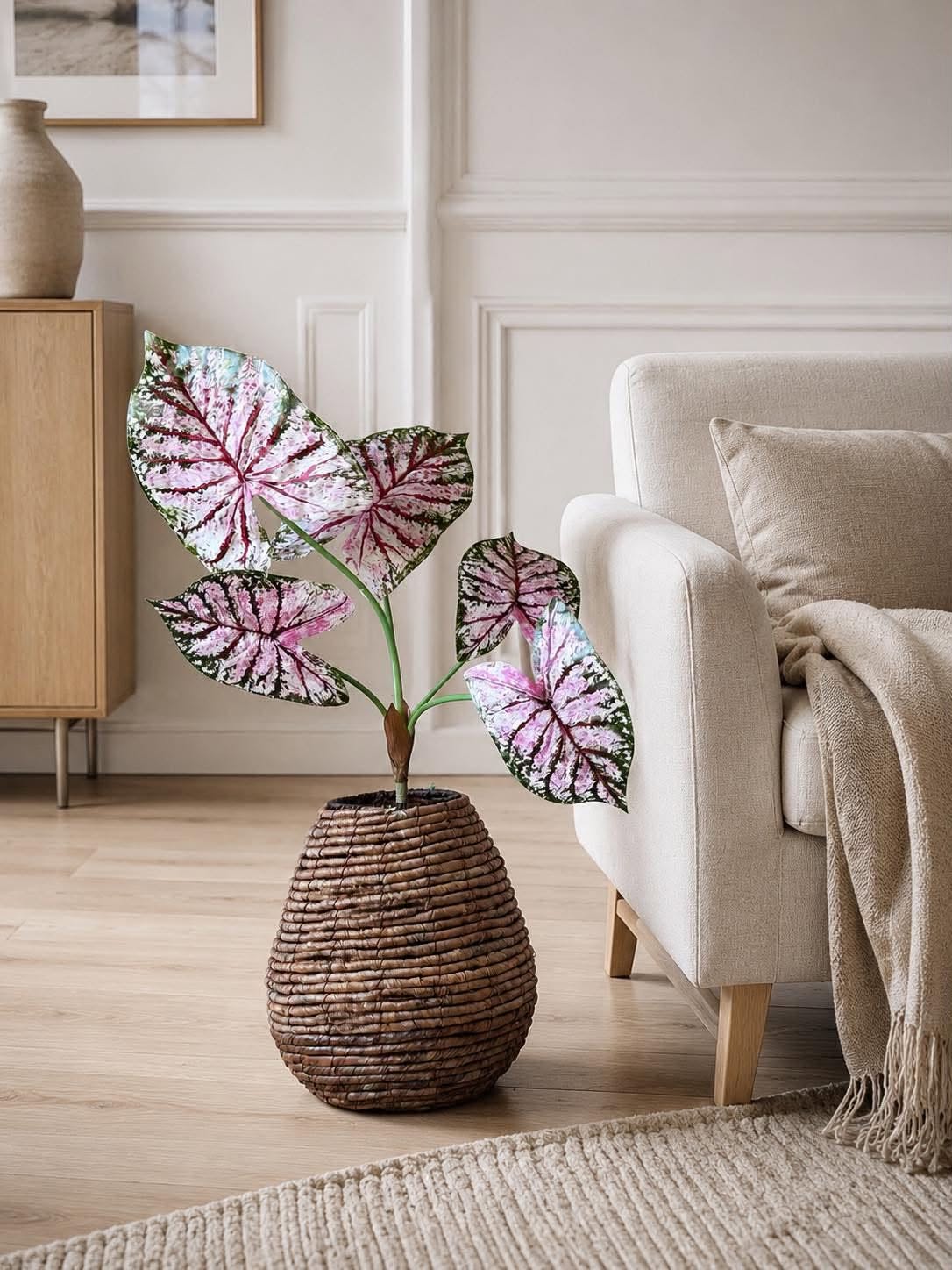 Plante Caladium H:67 cm Rosa/Grønn