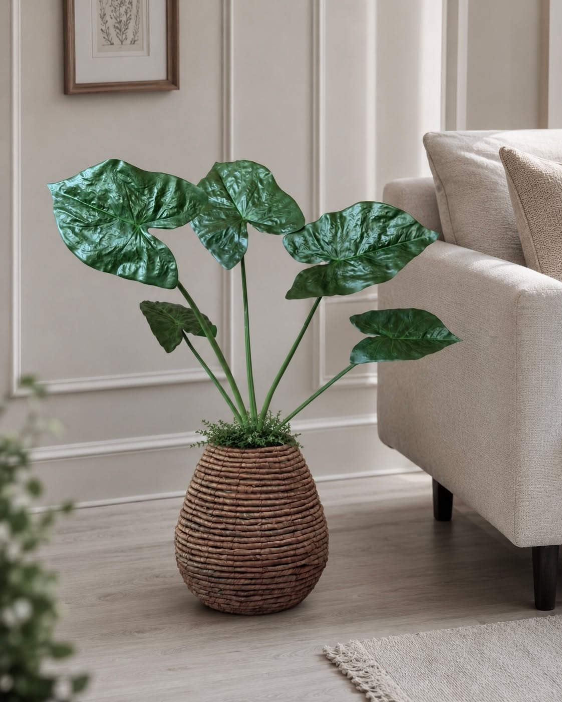 Plante Alocasia Big H:79 cm Grønn