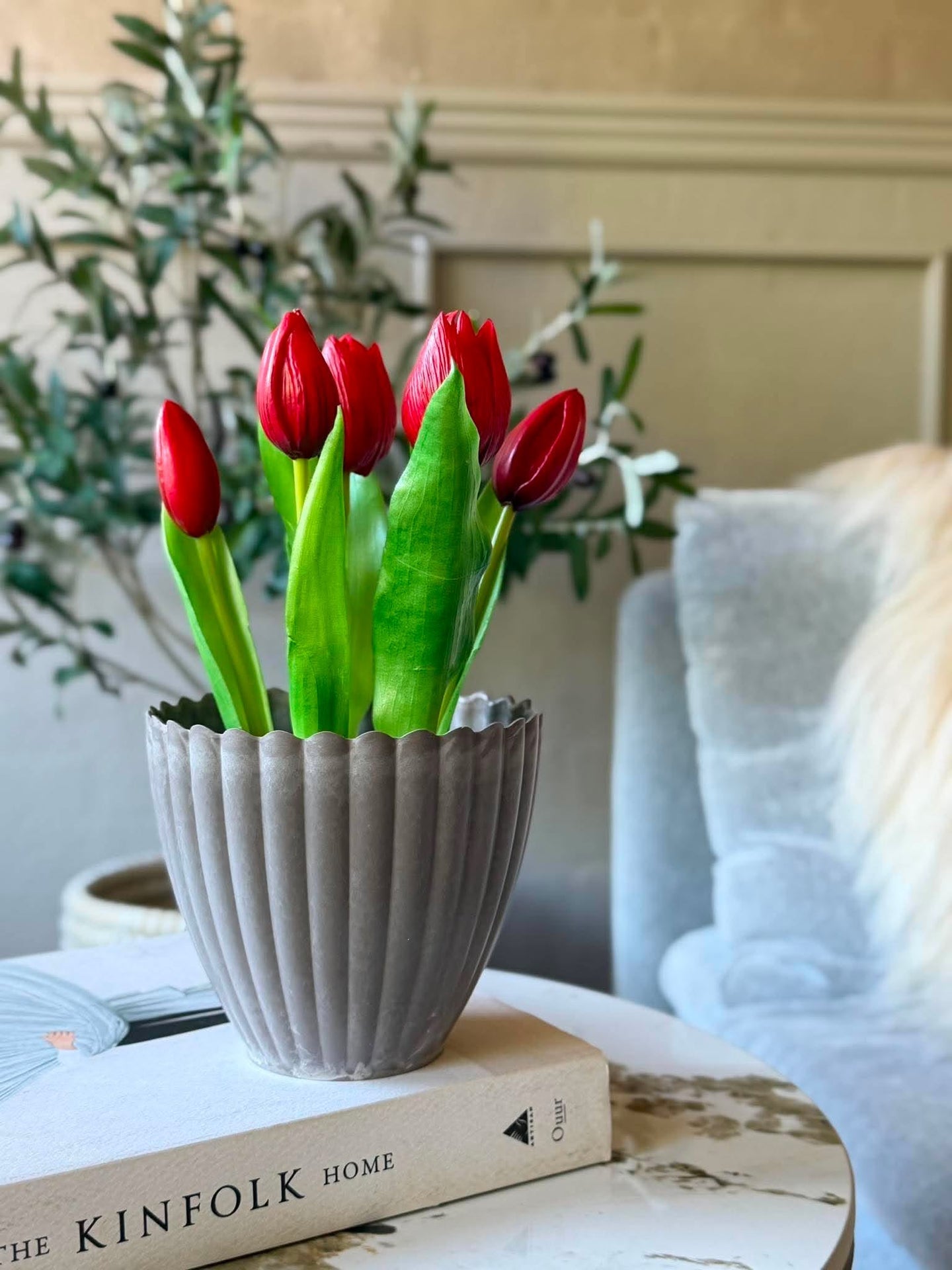 Tulipan i potte - Rød med 5 blomster
